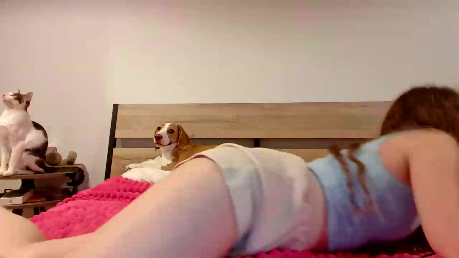 Gallery image thumbnail from BlueFlowerr's myfreecams stream on, 08/15/2026, 23:08 image 1 of 20