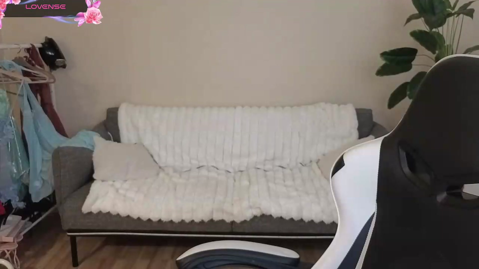 Gallery image thumbnail from BlueFlowerr's myfreecams stream on, 08/29/2026, 17:48 image 3 of 20
