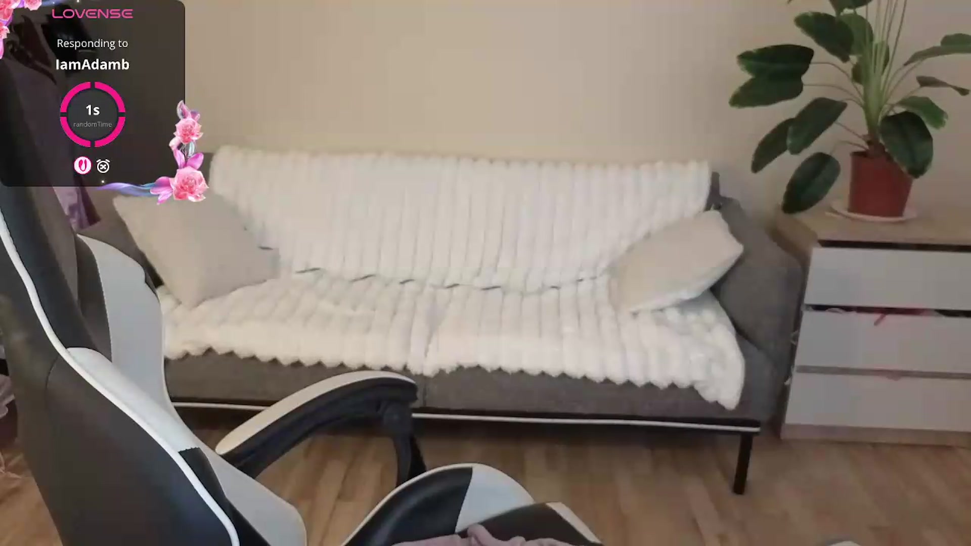 Gallery image thumbnail from BlueFlowerr's myfreecams stream on, 09/01/2026, 20:30 image 15 of 20