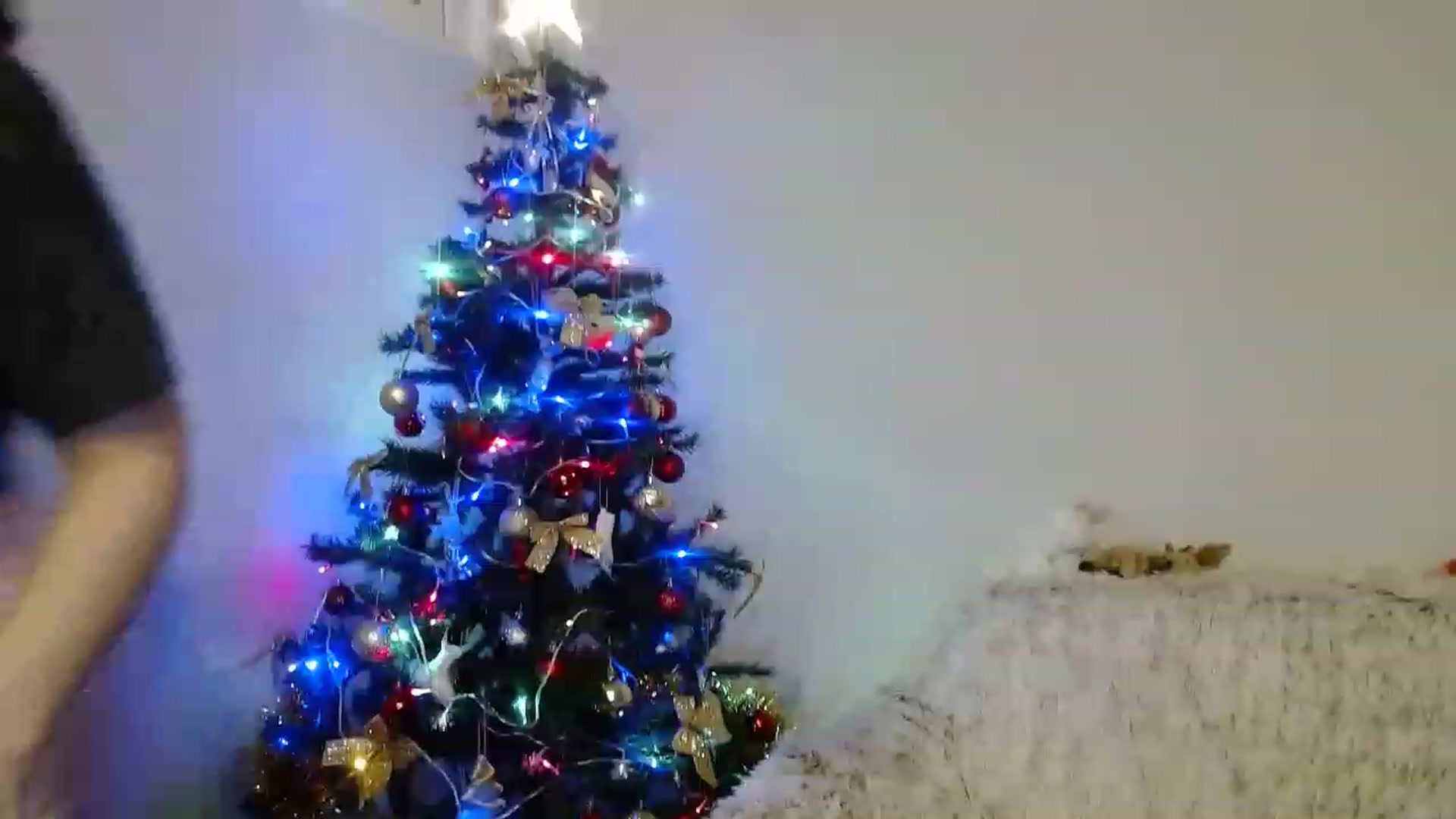 Gallery image thumbnail from BlueL1ghtning's myfreecams stream on, 12/25/2022, 14:42 image 19 of 20