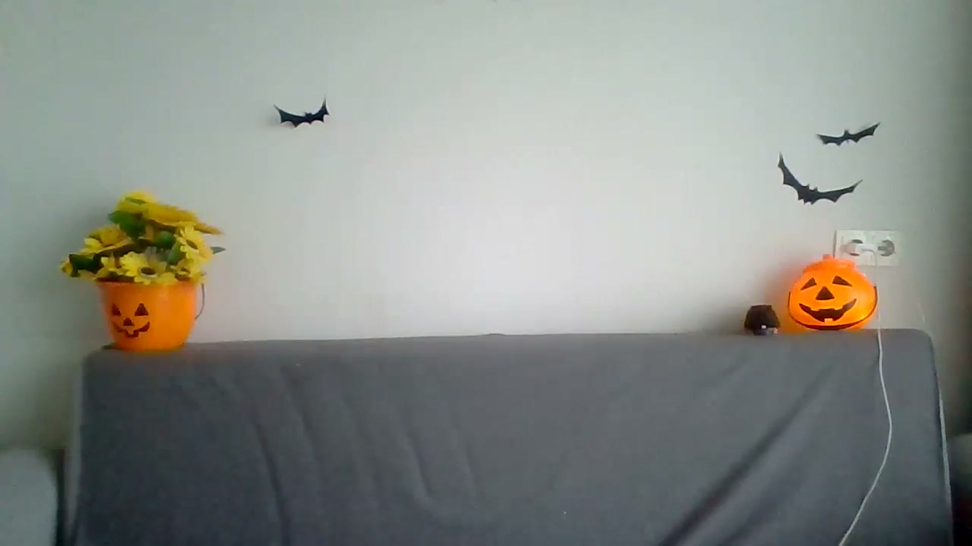 Gallery image thumbnail from BlueL1ghtning's myfreecams stream on, 10/16/2023, 13:26 image 11 of 20