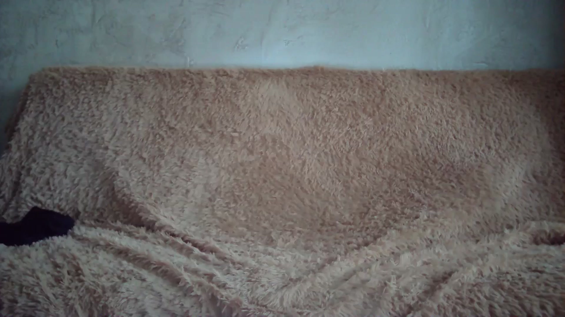 Gallery image thumbnail from BlueL1ghtning's myfreecams stream on, 05/07/2024, 13:17 image 19 of 20