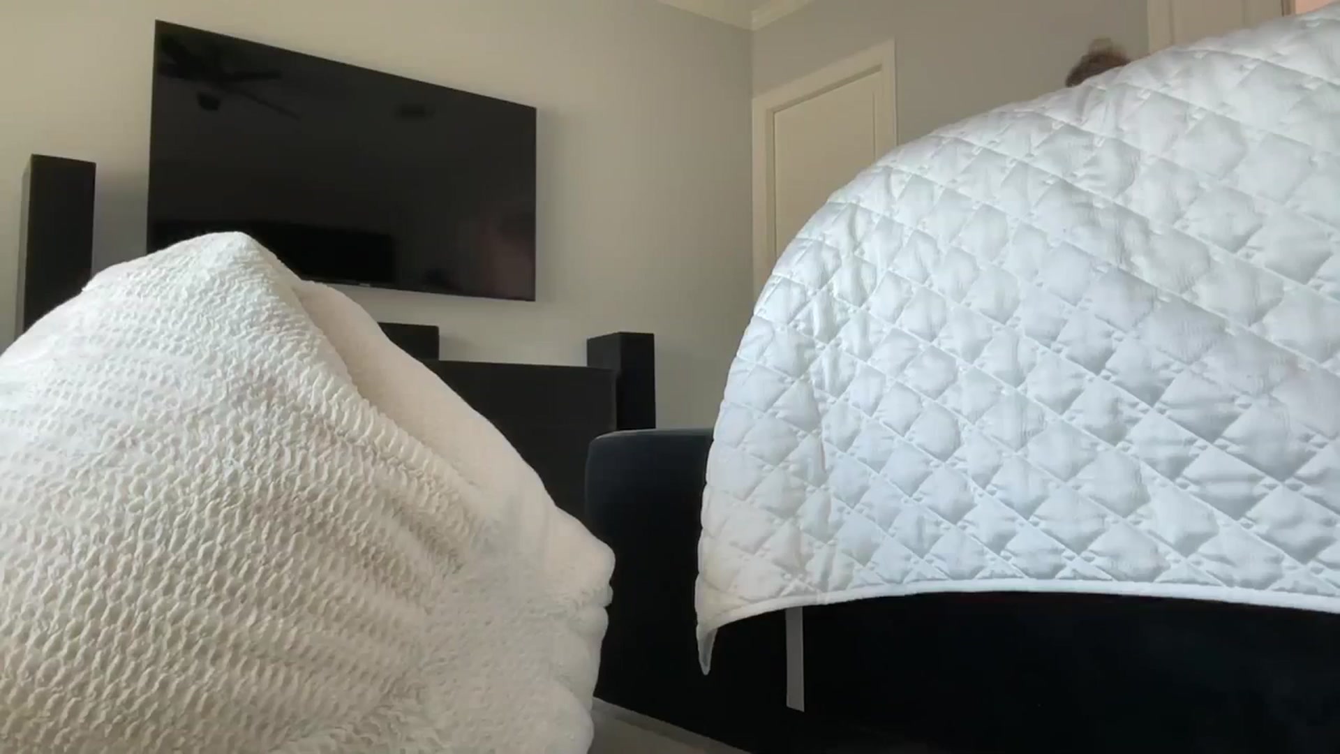 Gallery image thumbnail from BlueRiverTX's myfreecams stream on, 03/28/2024, 20:57 image 16 of 20
