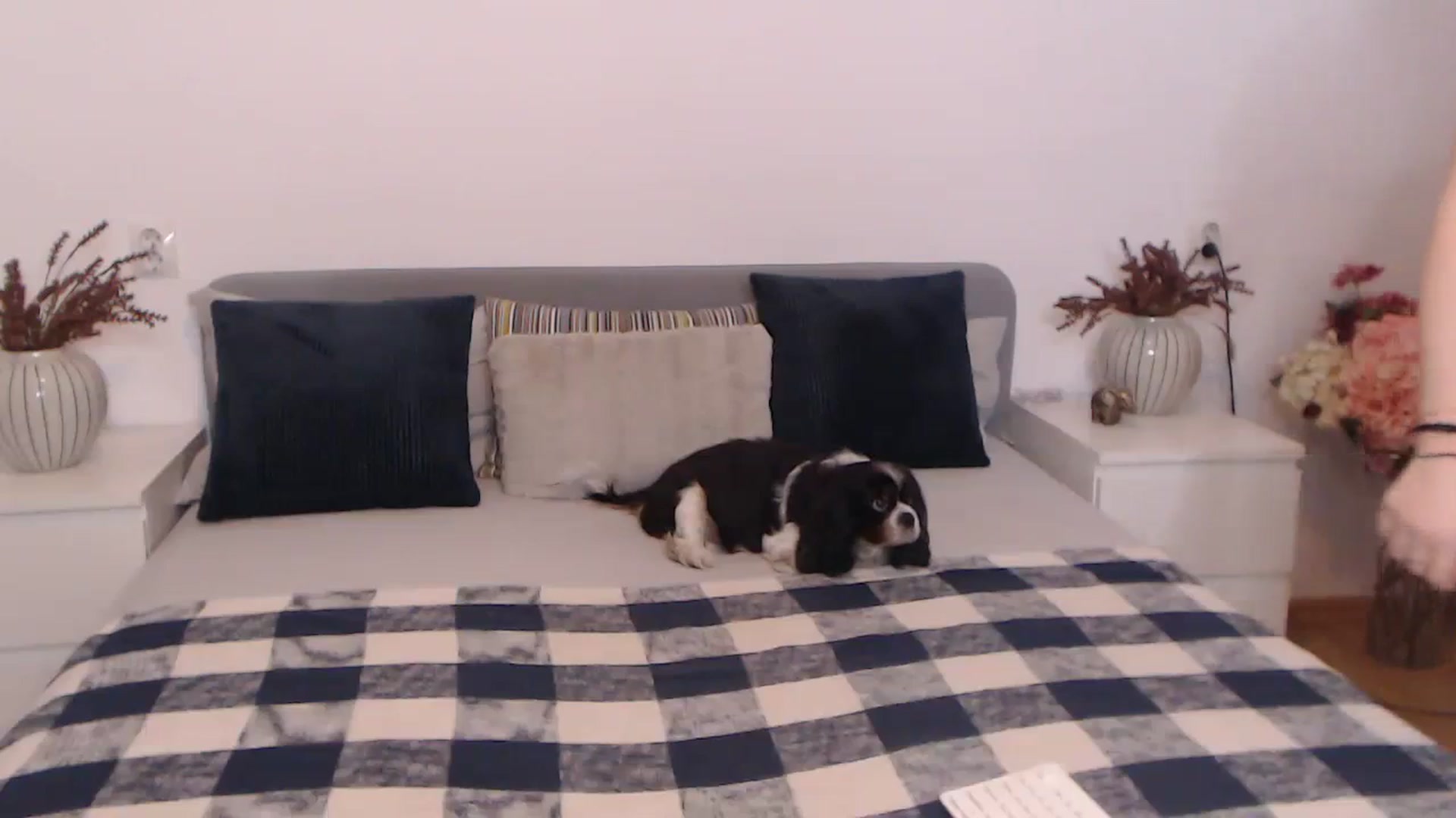 Gallery image thumbnail from BlueStocking's myfreecams stream on, 09/03/2023, 18:48 image 16 of 20