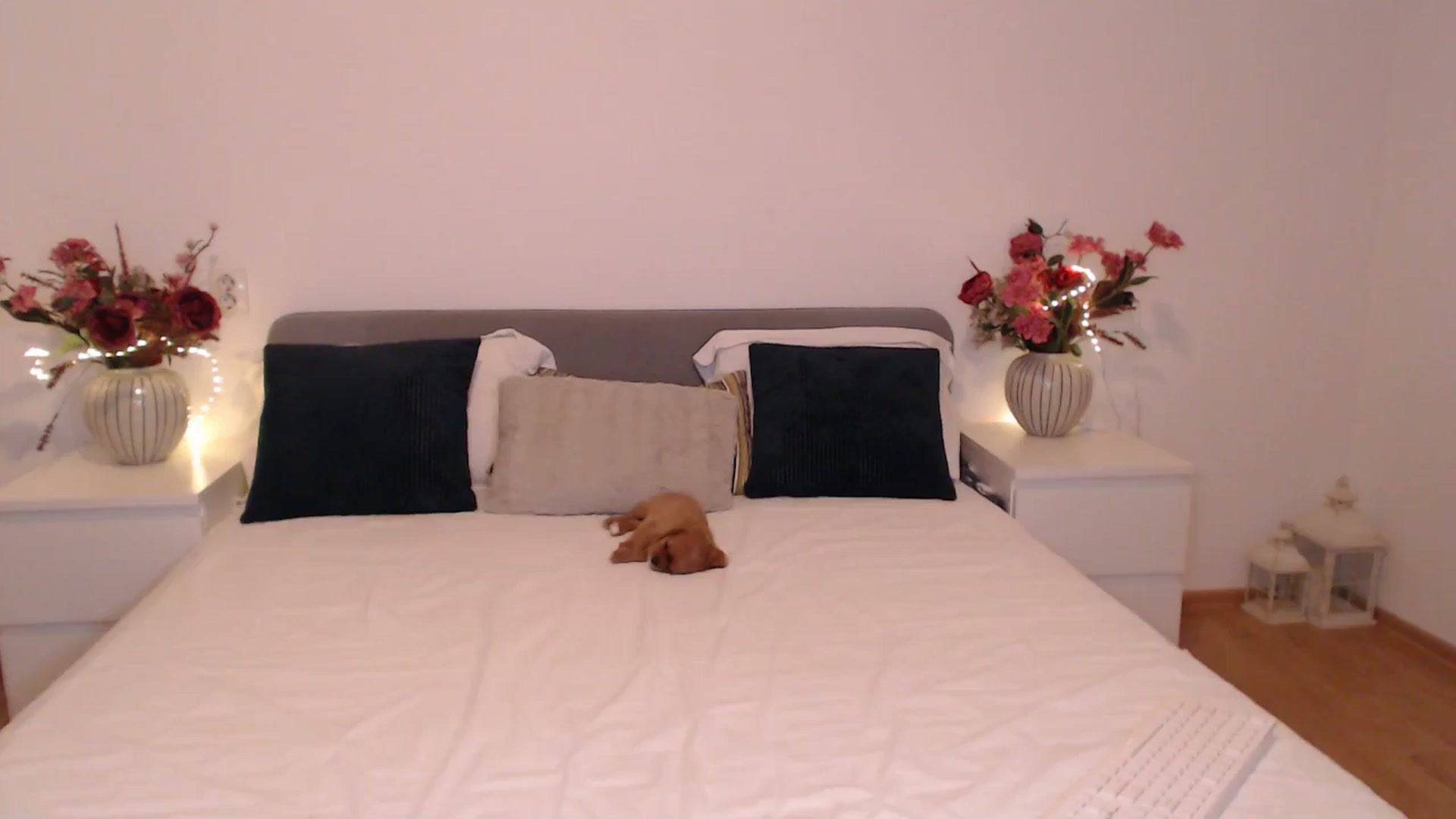 Gallery image thumbnail from BlueStocking's myfreecams stream on, 04/07/2025, 13:07 image 12 of 20