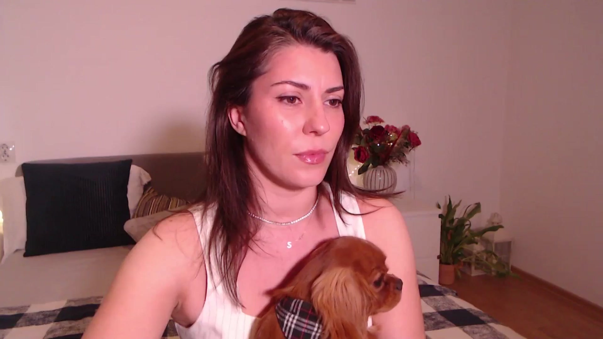 Gallery image thumbnail from BlueStocking's myfreecams stream on, 07/14/2025, 11:54 image 17 of 20