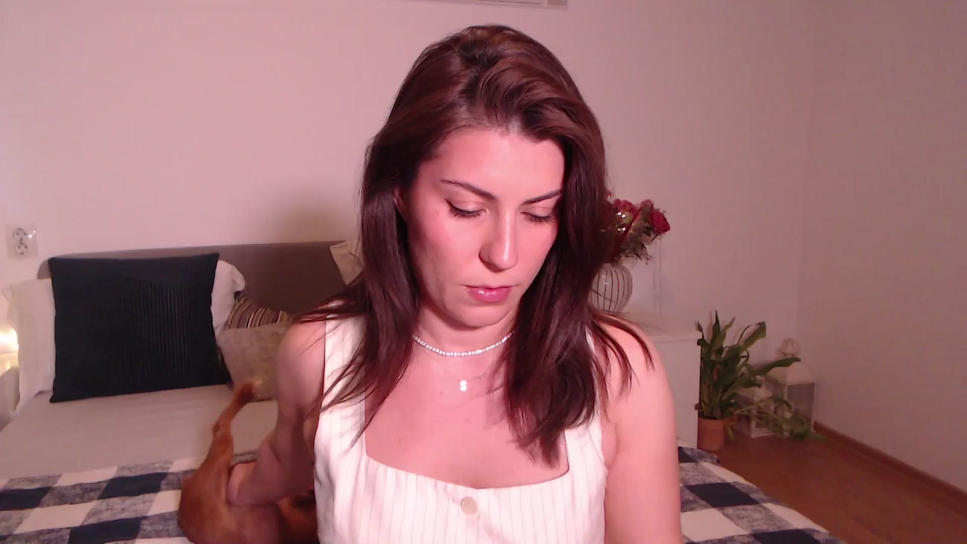 Gallery image thumbnail from BlueStocking's myfreecams stream on, 07/14/2025, 11:54 image 1 of 20