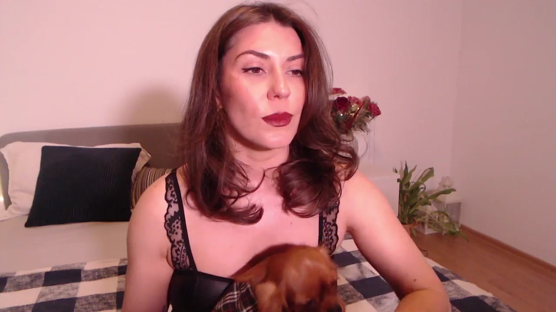 Gallery image thumbnail from BlueStocking's myfreecams stream on, 07/16/2025, 16:10 image 3 of 20