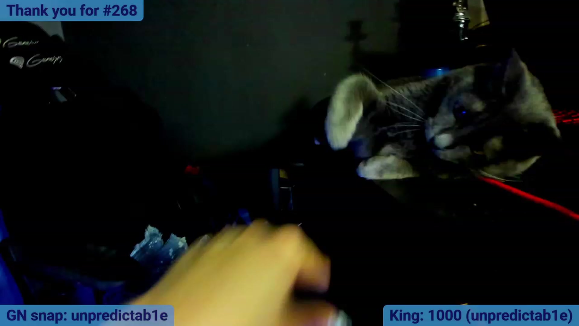 Gallery image thumbnail from BlueeeS's myfreecams stream on, 06/12/2023, 03:13 image 13 of 20