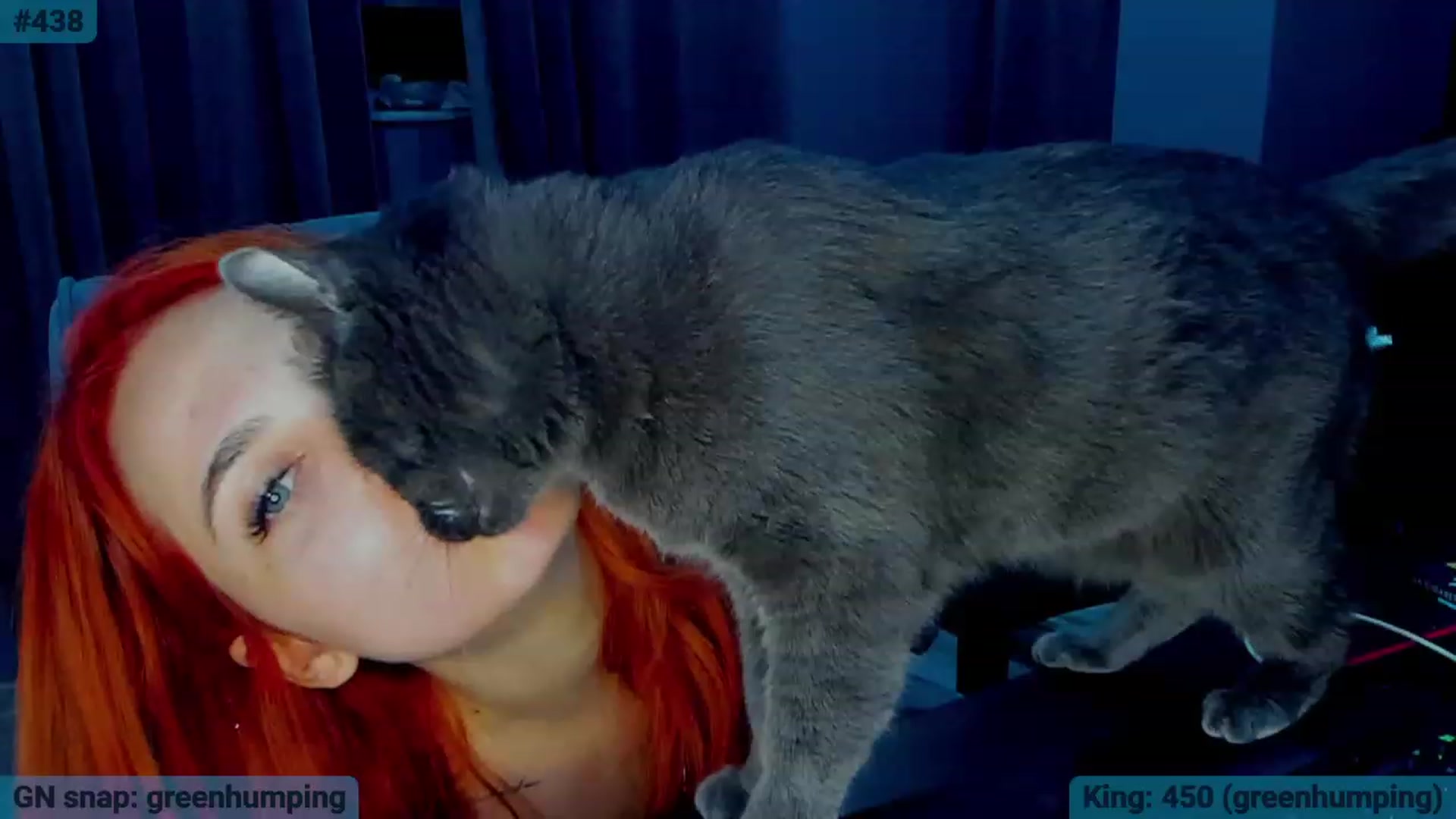 Gallery image thumbnail from BlueeeS's myfreecams stream on, 08/08/2023, 02:50 image 18 of 20
