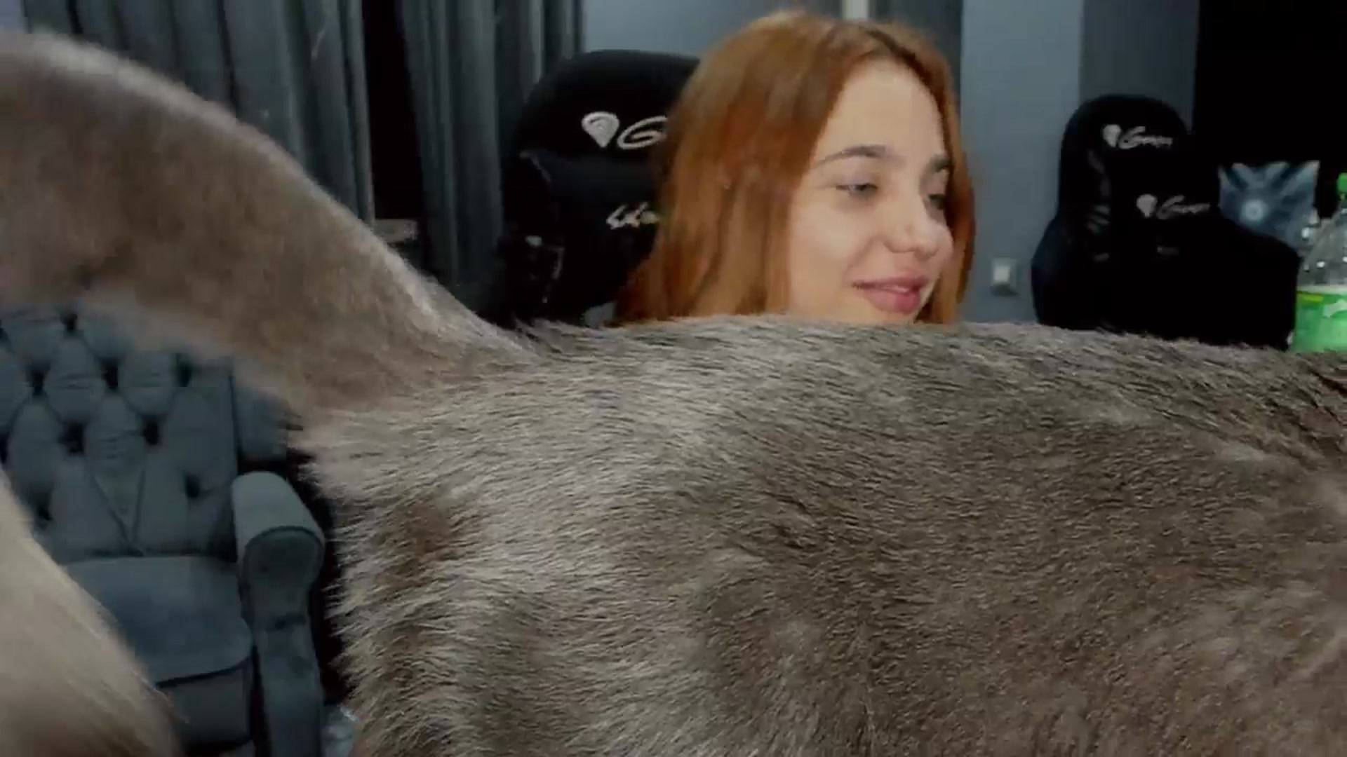 Gallery image thumbnail from BlueeeS's myfreecams stream on, 08/30/2024, 02:47 image 17 of 20