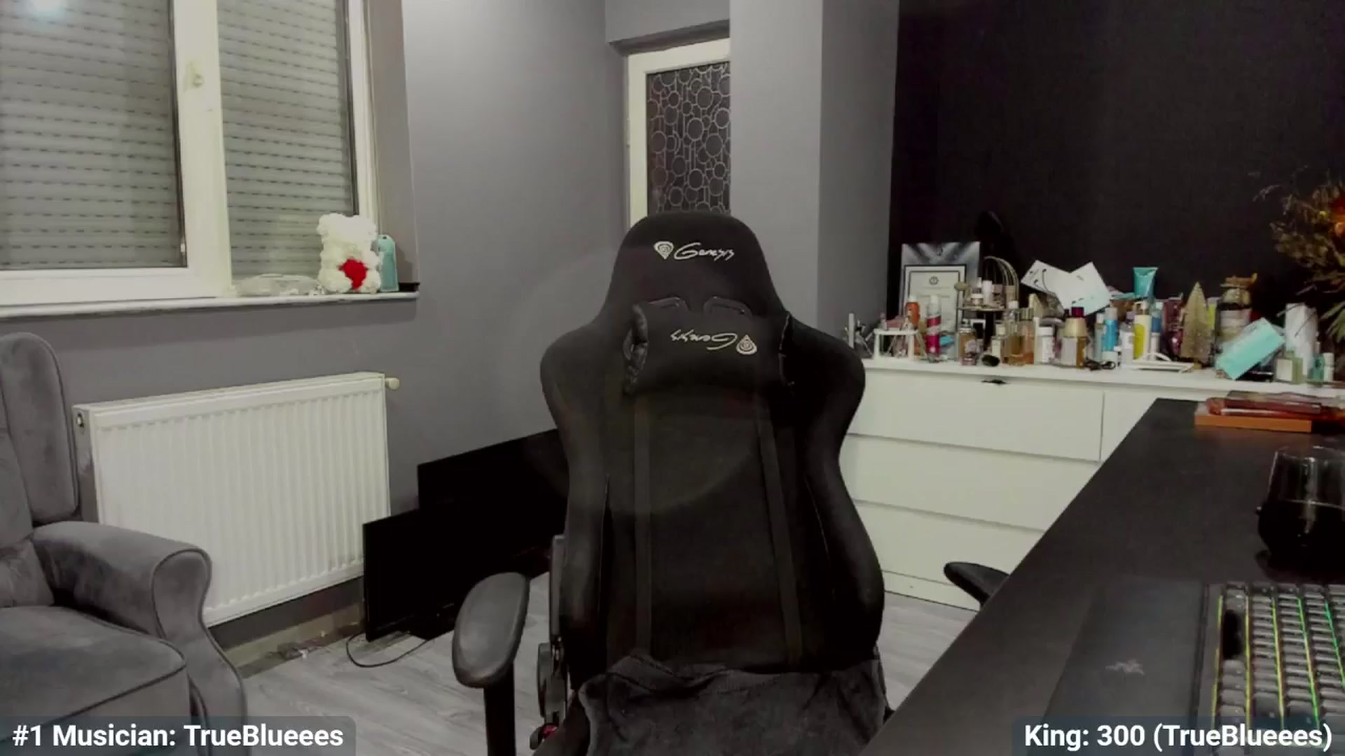 Gallery image thumbnail from BlueeeS's myfreecams stream on, 01/08/2025, 02:56 image 13 of 20
