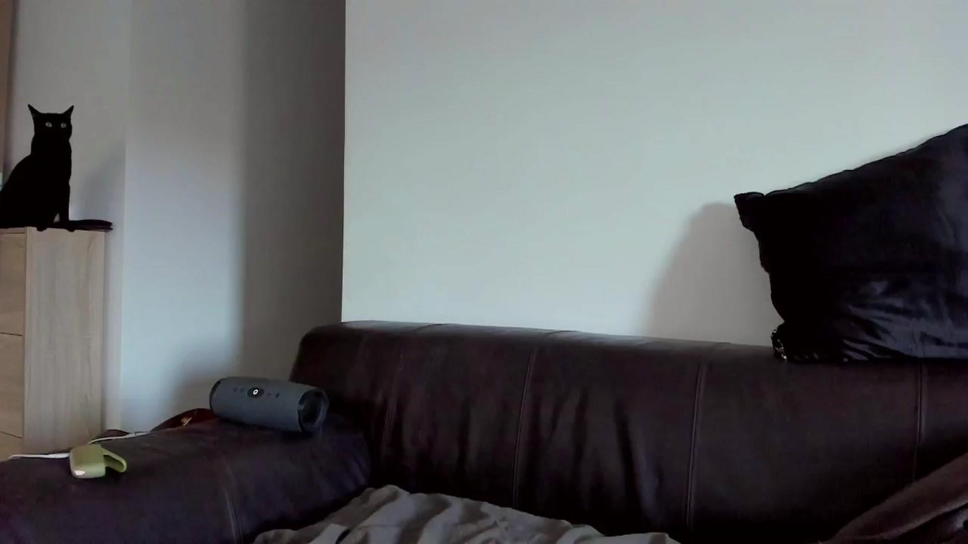 Gallery image thumbnail from BlueeeS's myfreecams stream on, 07/25/2025, 10:31 image 13 of 20
