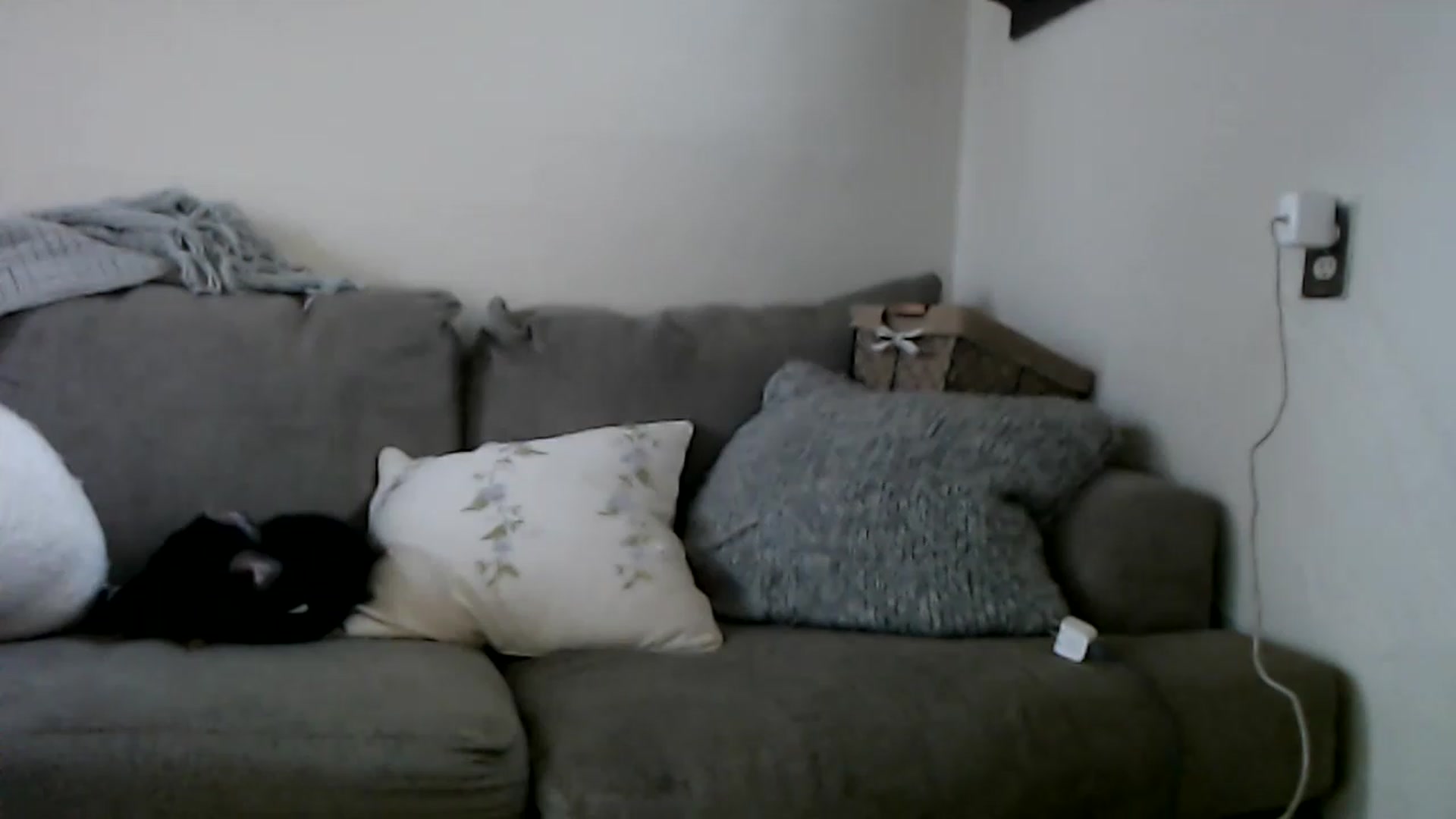 Gallery image thumbnail from Bluntgirl's myfreecams stream on, 01/20/2023, 21:45 image 19 of 20