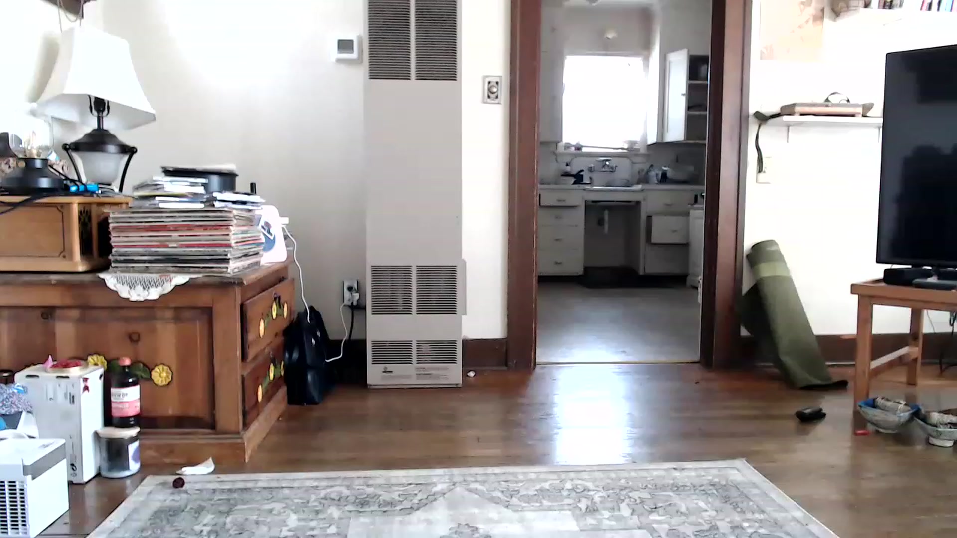 Gallery image thumbnail from Bluntgirl's myfreecams stream on, 02/06/2023, 20:26 image 4 of 20