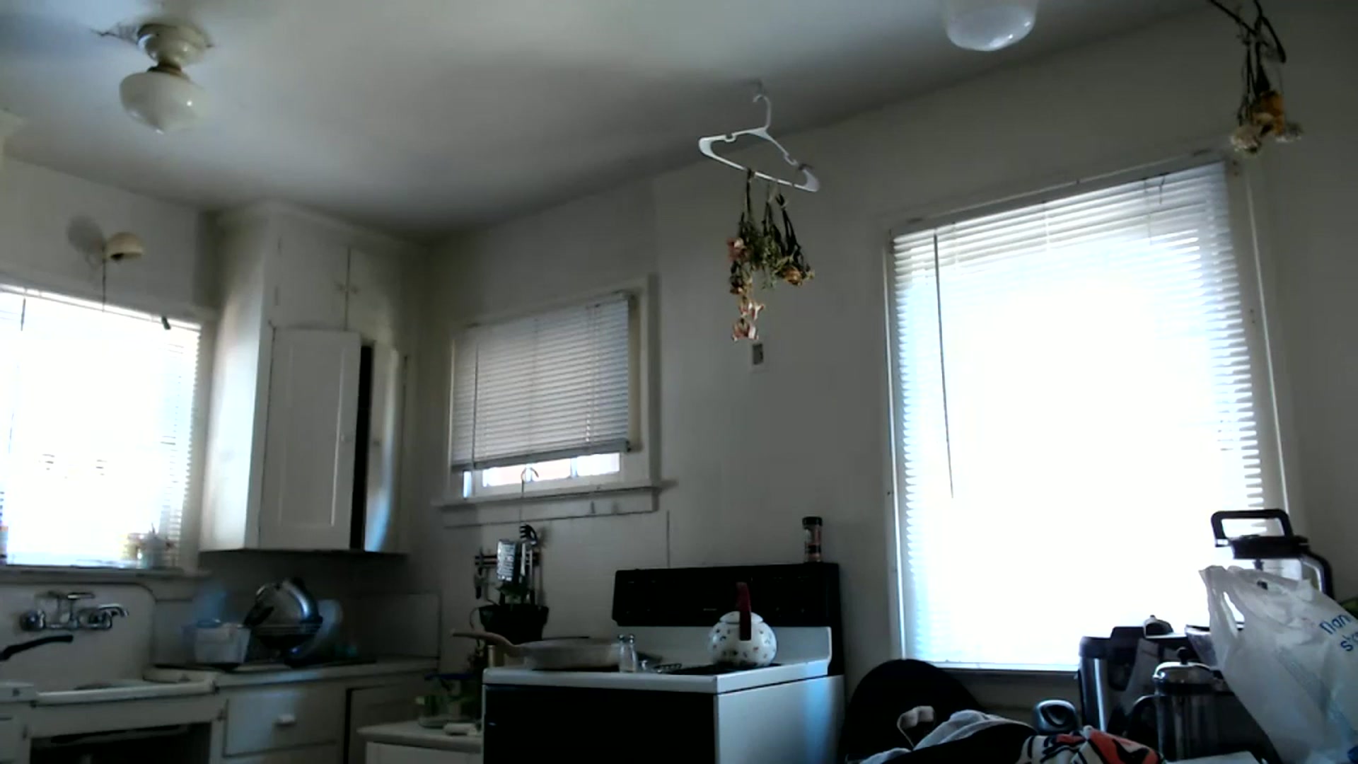 Gallery image thumbnail from Bluntgirl's myfreecams stream on, 06/12/2023, 20:22 image 15 of 20
