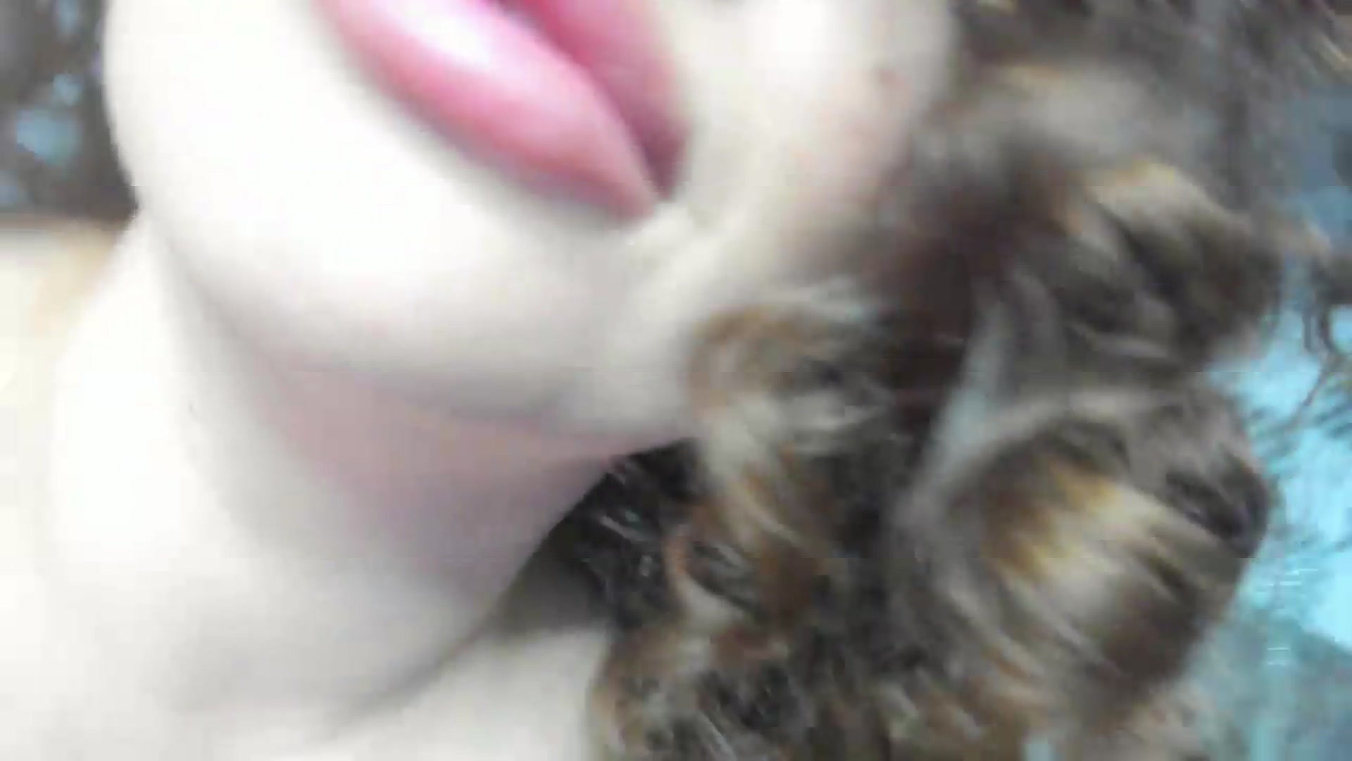 Gallery image thumbnail from Bo0ty_queen_'s myfreecams stream on, 05/14/2026, 10:06 image 3 of 20