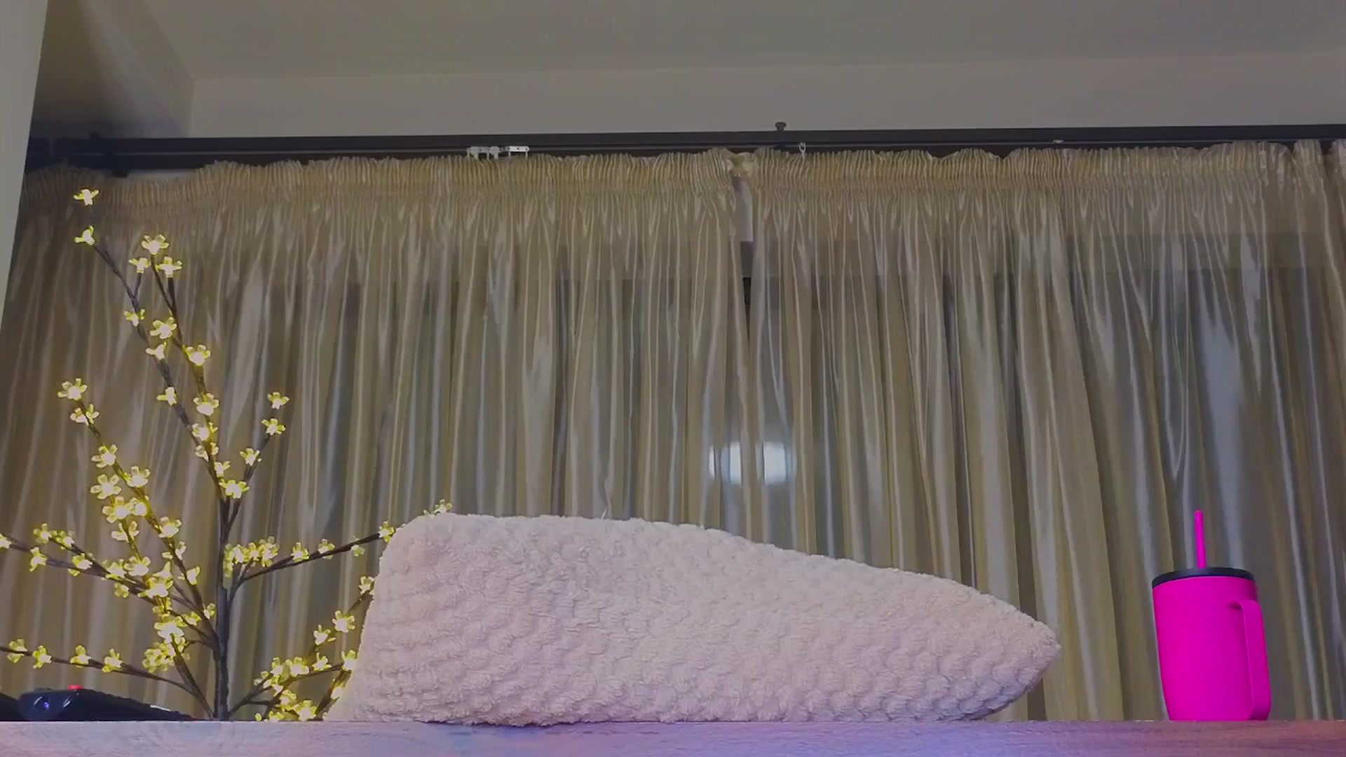 Gallery image thumbnail from Bomb_Ass's myfreecams stream on, 10/29/2024, 24:20 image 19 of 20