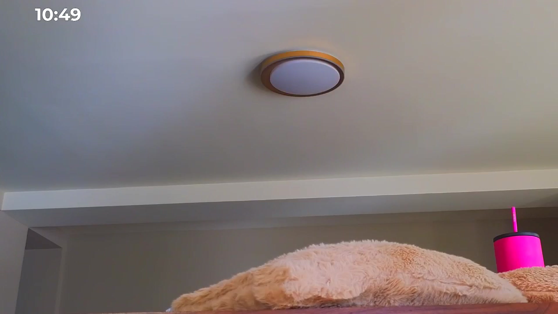 Gallery image thumbnail from Bomb_Ass's myfreecams stream on, 01/17/2025, 11:16 image 18 of 20
