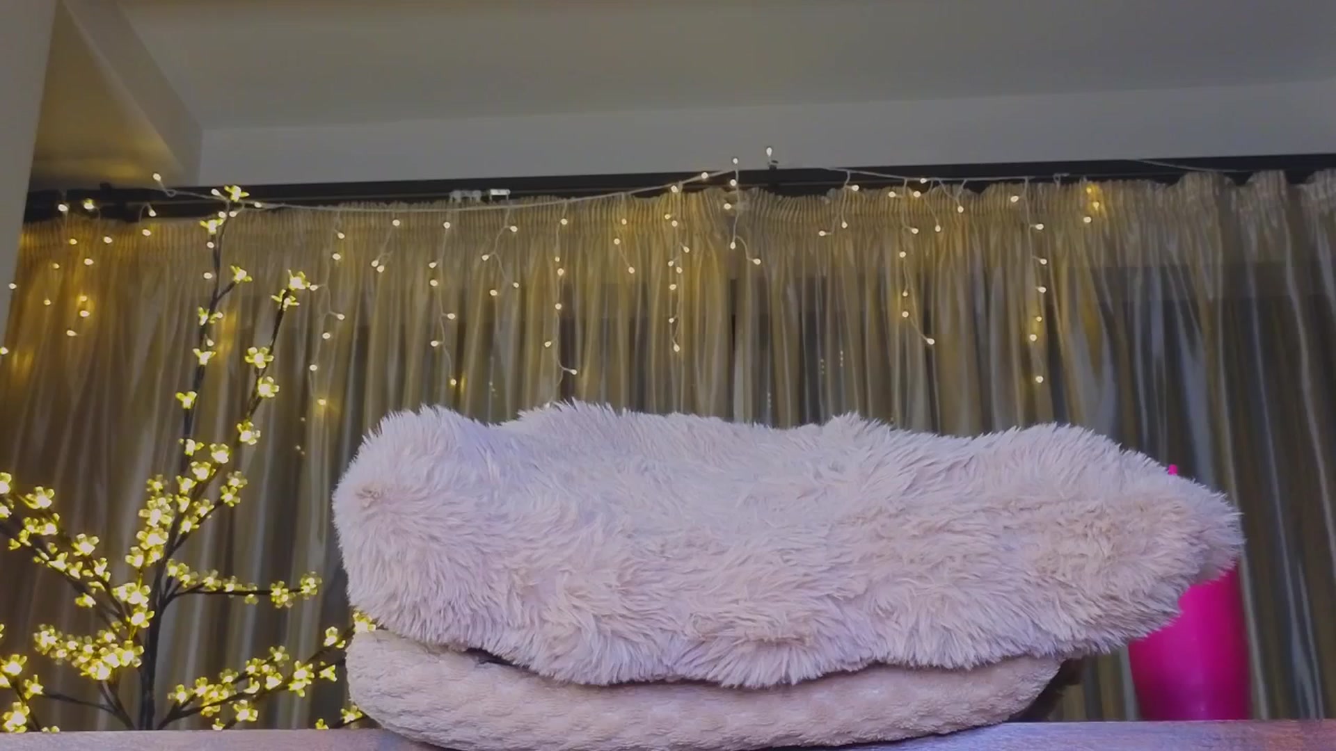 Gallery image thumbnail from Bomb_Ass's myfreecams stream on, 05/11/2025, 20:15 image 7 of 20