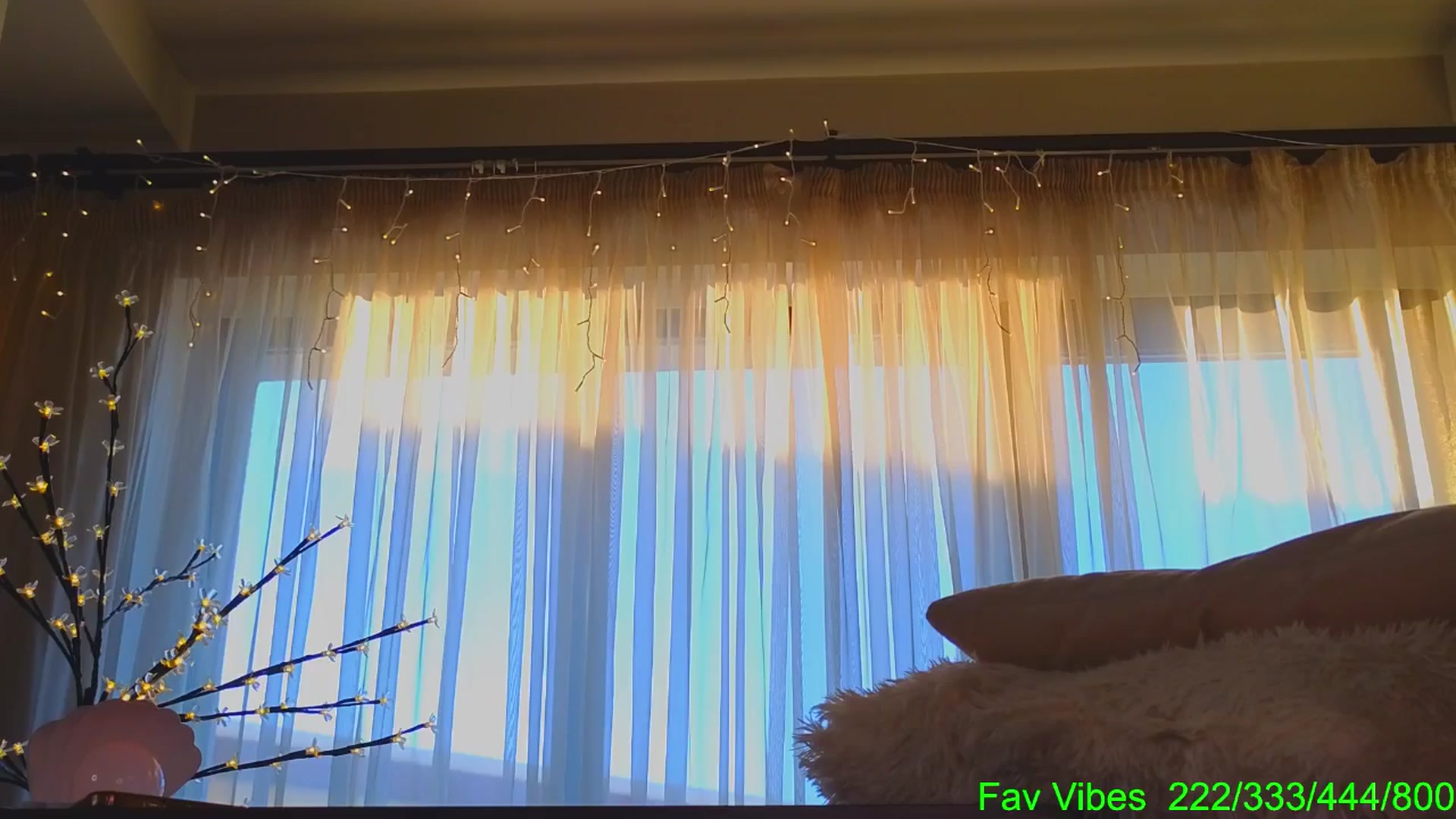 Gallery image thumbnail from Bomb_Ass's myfreecams stream on, 02/19/2026, 06:02 image 9 of 20