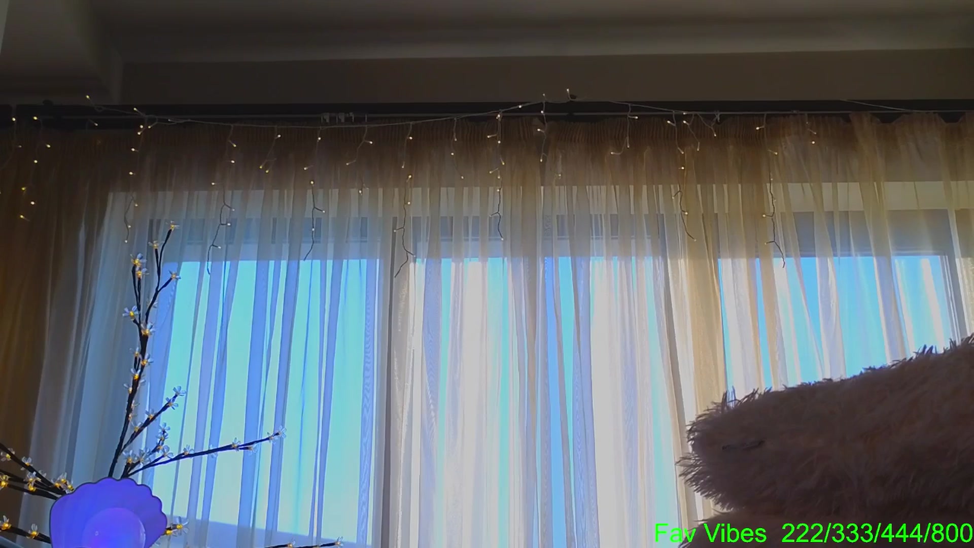 Gallery image thumbnail from Bomb_Ass's myfreecams stream on, 04/25/2026, 05:12 image 7 of 20