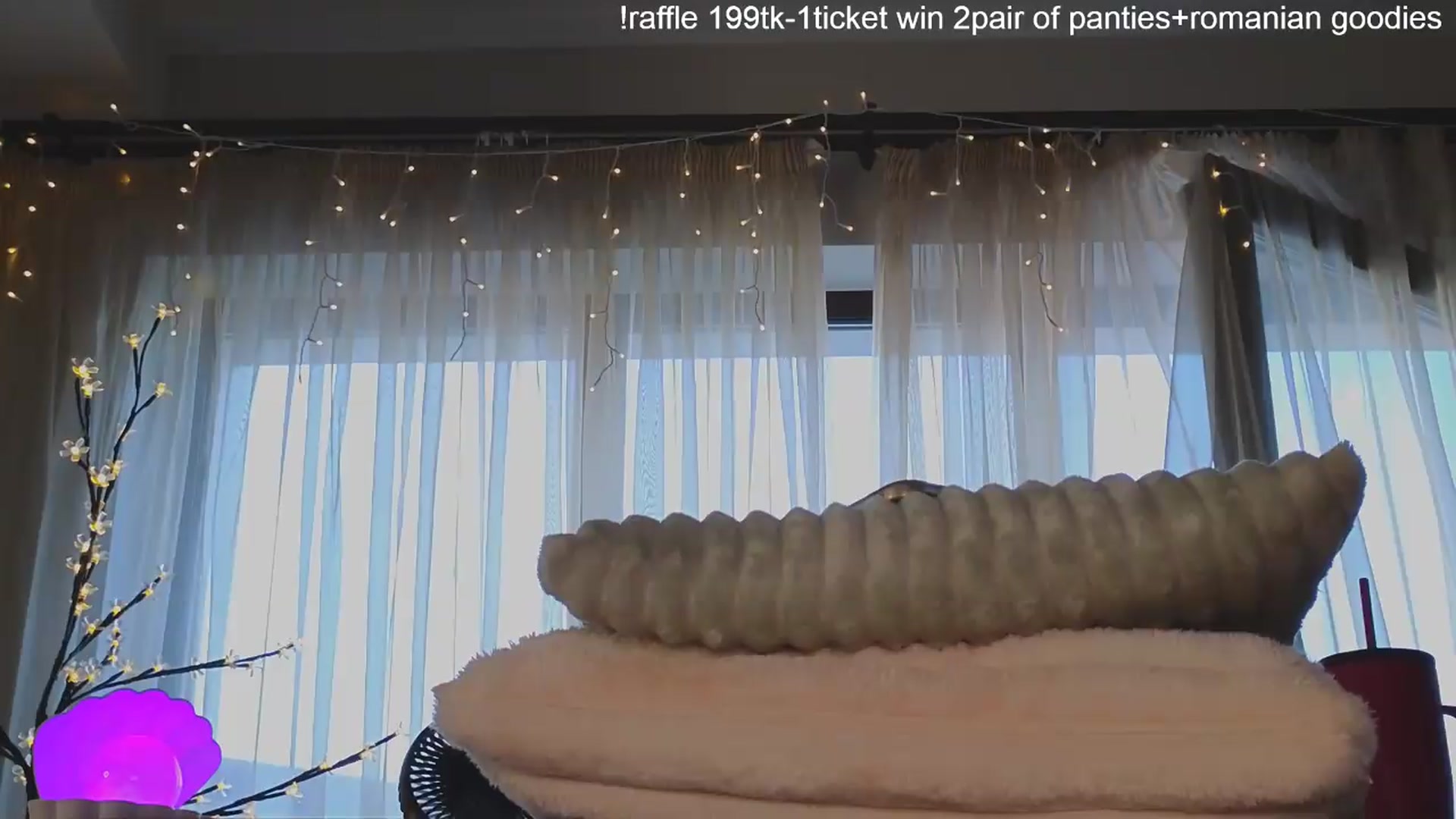Gallery image thumbnail from Bomb_Ass's myfreecams stream on, 07/02/2026, 03:55 image 8 of 20