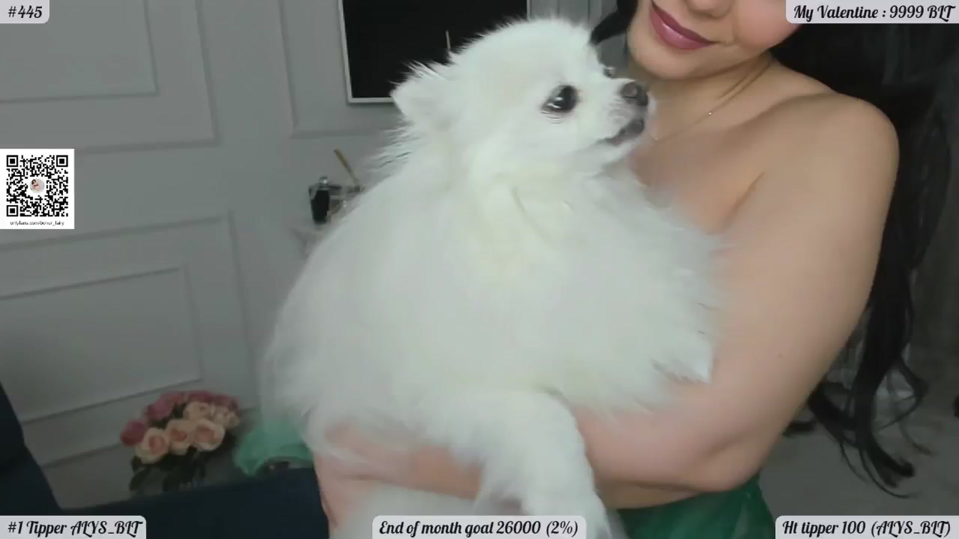 Gallery image thumbnail from Boner_fairy's myfreecams stream on, 02/28/2026, 03:31 image 11 of 20