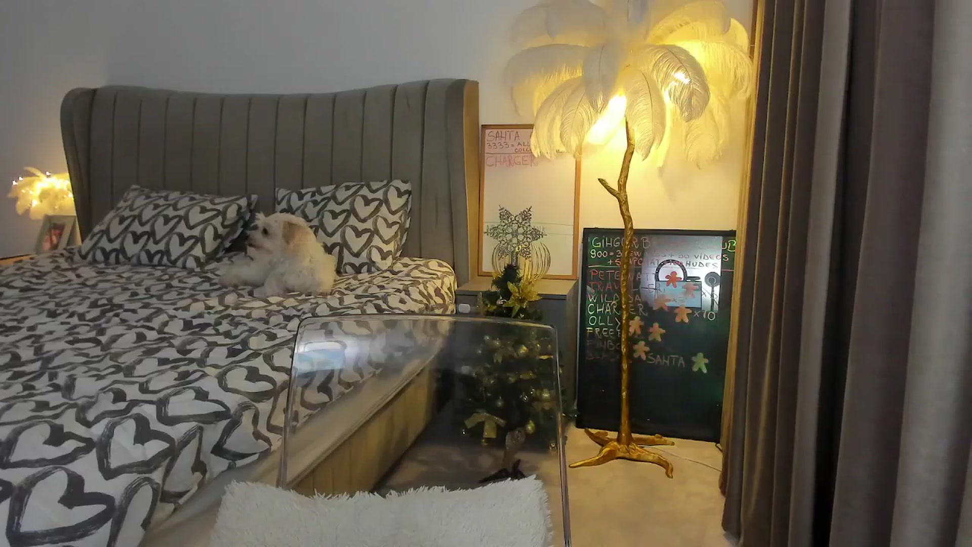 Gallery image thumbnail from BonerrrDonor's myfreecams stream on, 12/22/2025, 24:03 image 4 of 20