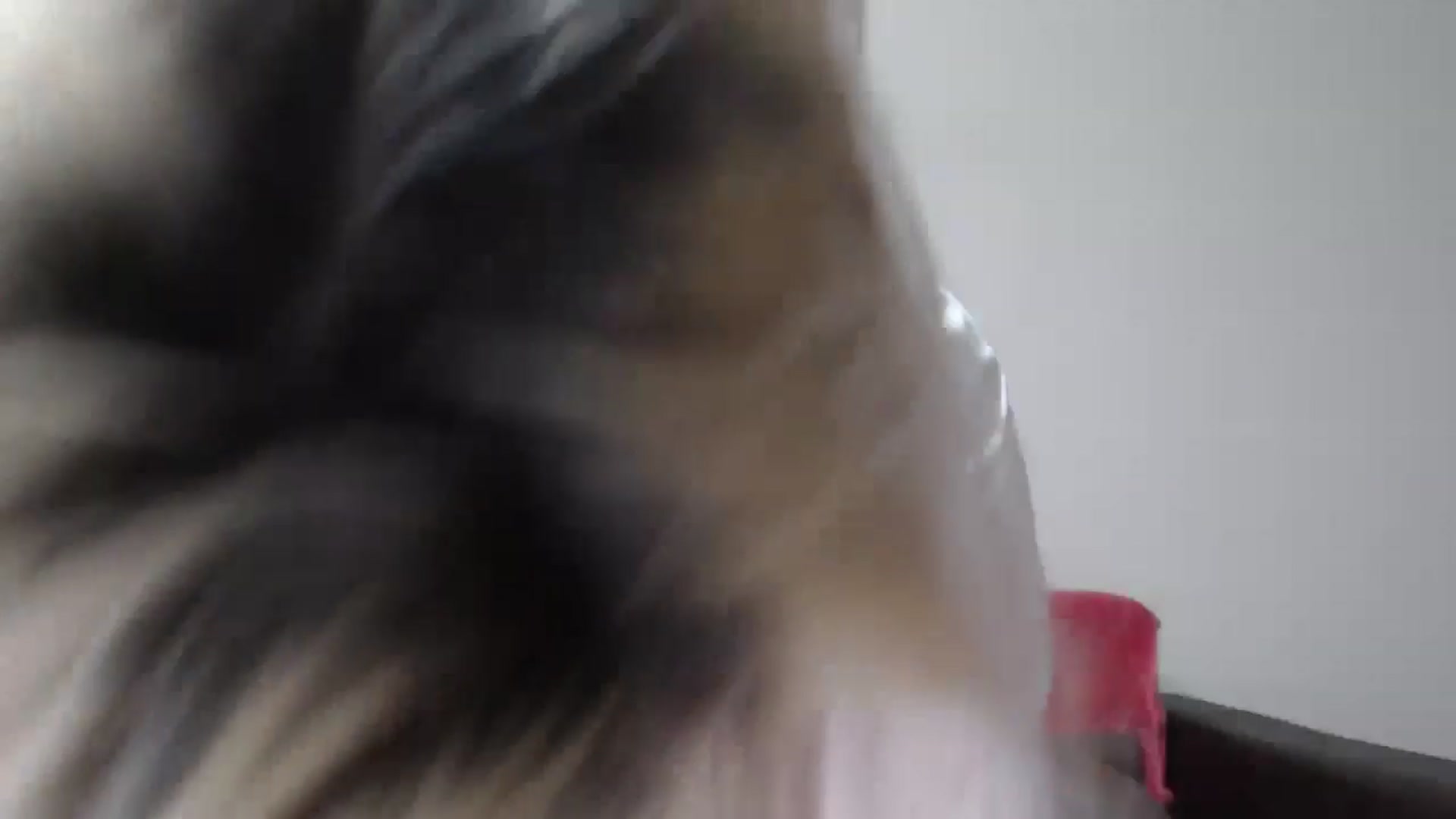Gallery image thumbnail from BonnieeBlue's myfreecams stream on, 01/07/2023, 19:31 image 16 of 20
