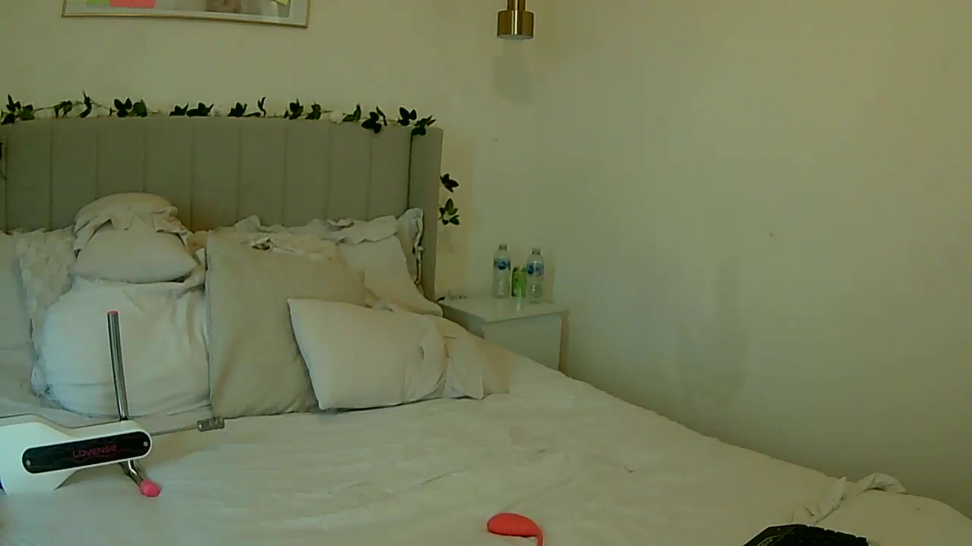 Gallery image thumbnail from BooXOXOX's myfreecams stream on, 01/22/2025, 13:39 image 4 of 20