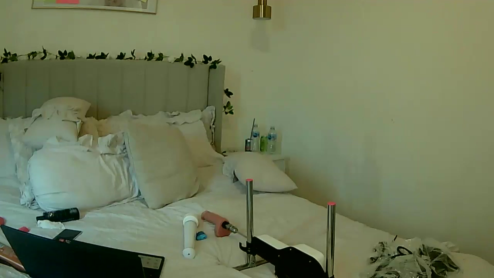 Gallery image thumbnail from BooXOXOX's myfreecams stream on, 01/22/2025, 13:39 image 18 of 20