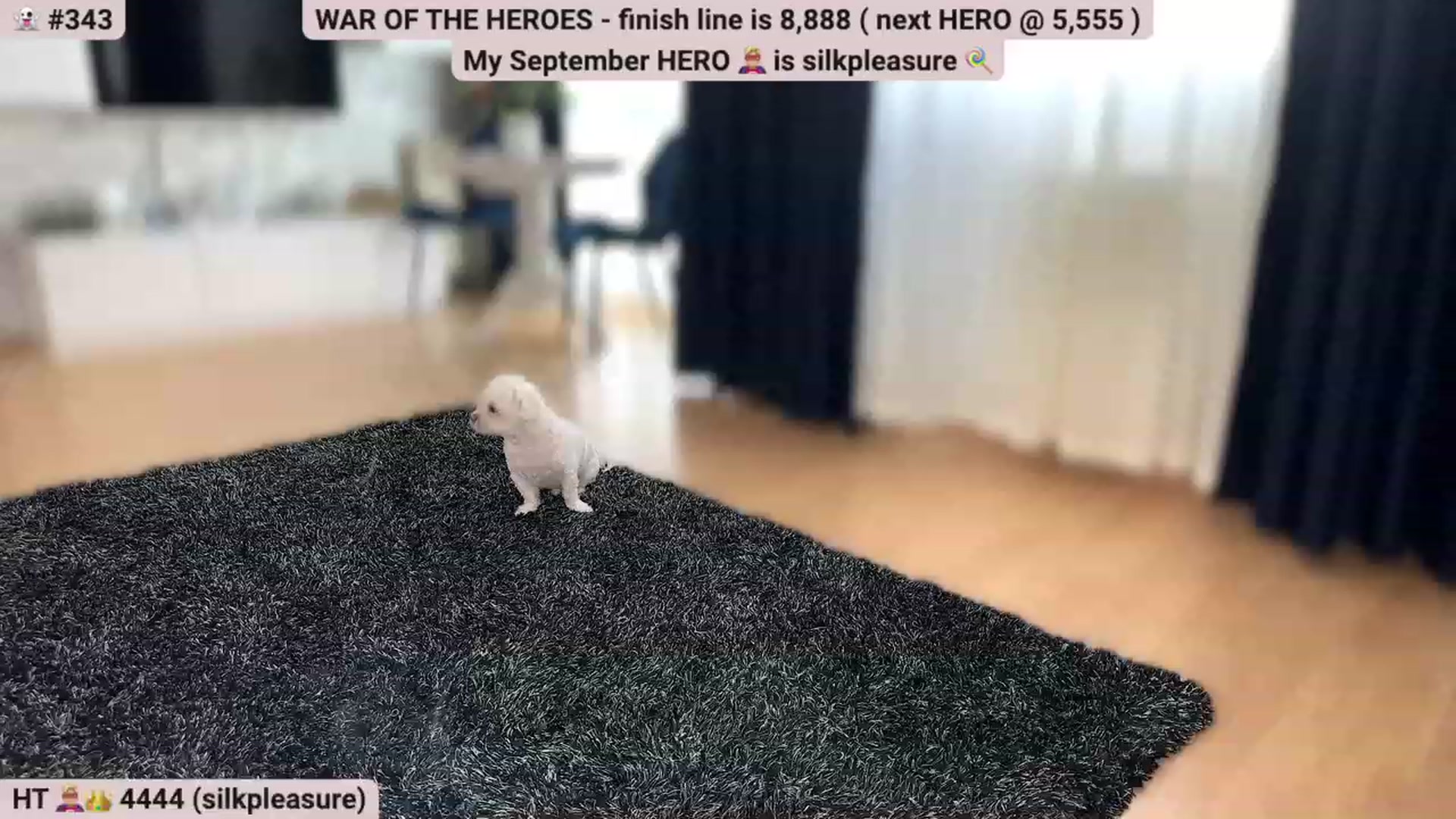 Gallery image thumbnail from Boootiful's myfreecams stream on, 09/10/2023, 16:43 image 3 of 20