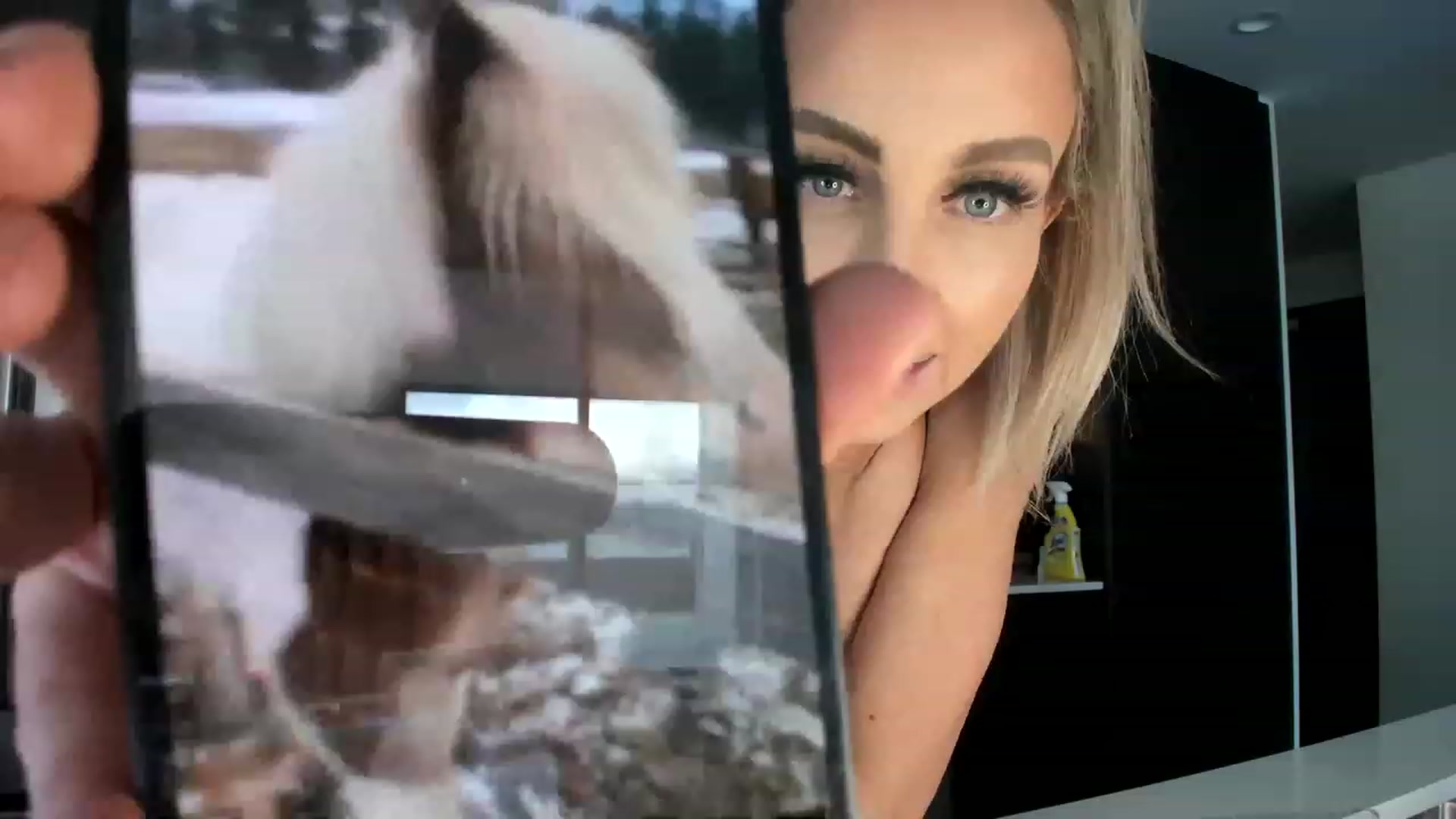 Gallery image thumbnail from Boots10's myfreecams stream on, 02/07/2023, 21:17 image 19 of 20