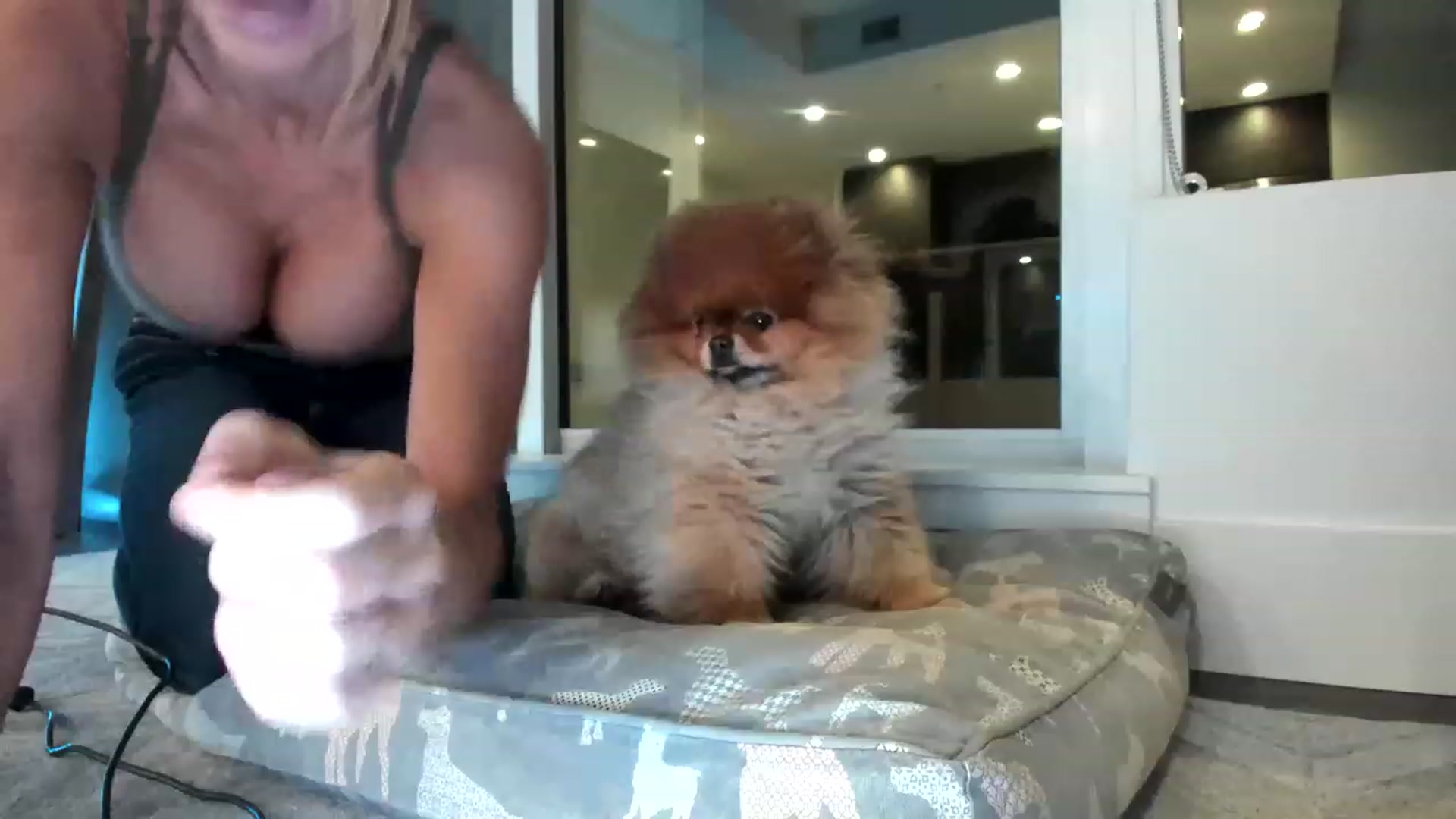 Gallery image thumbnail from Boots10's myfreecams stream on, 02/16/2023, 04:41 image 5 of 20