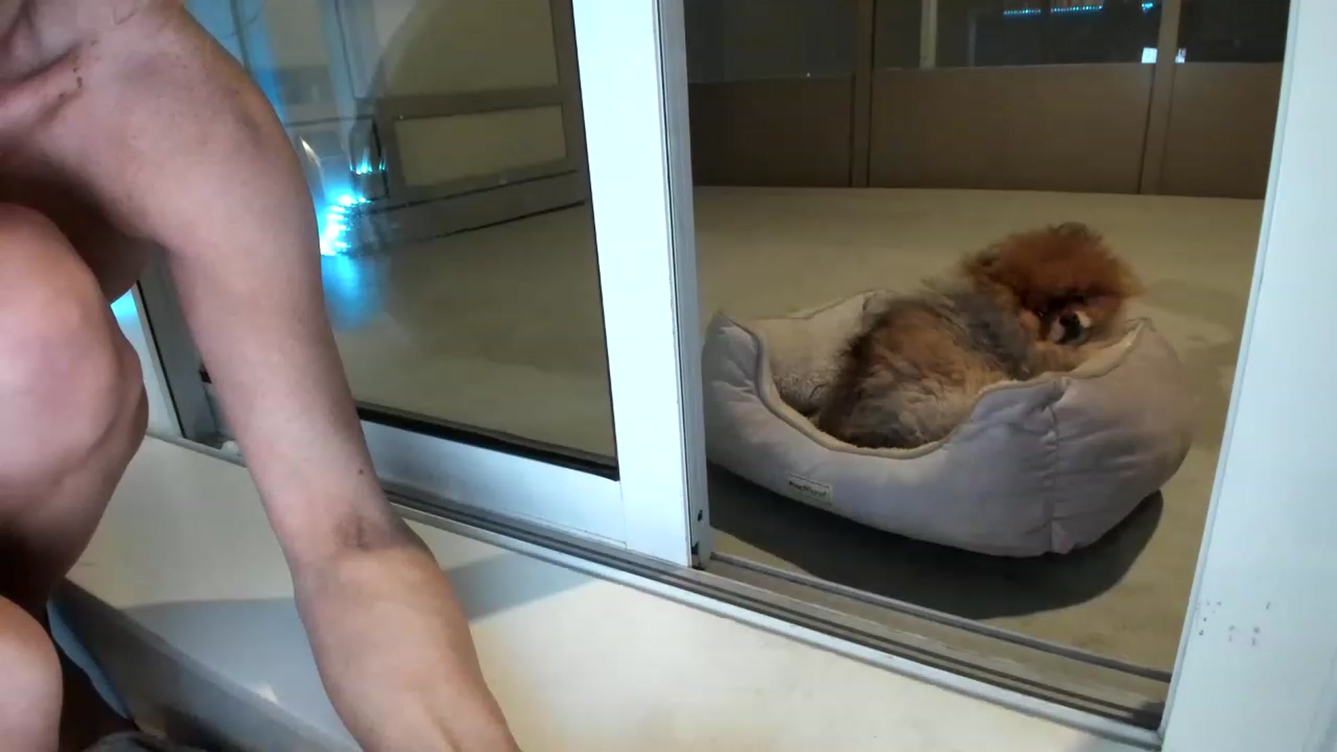Gallery image thumbnail from Boots10's myfreecams stream on, 03/01/2023, 03:26 image 4 of 20