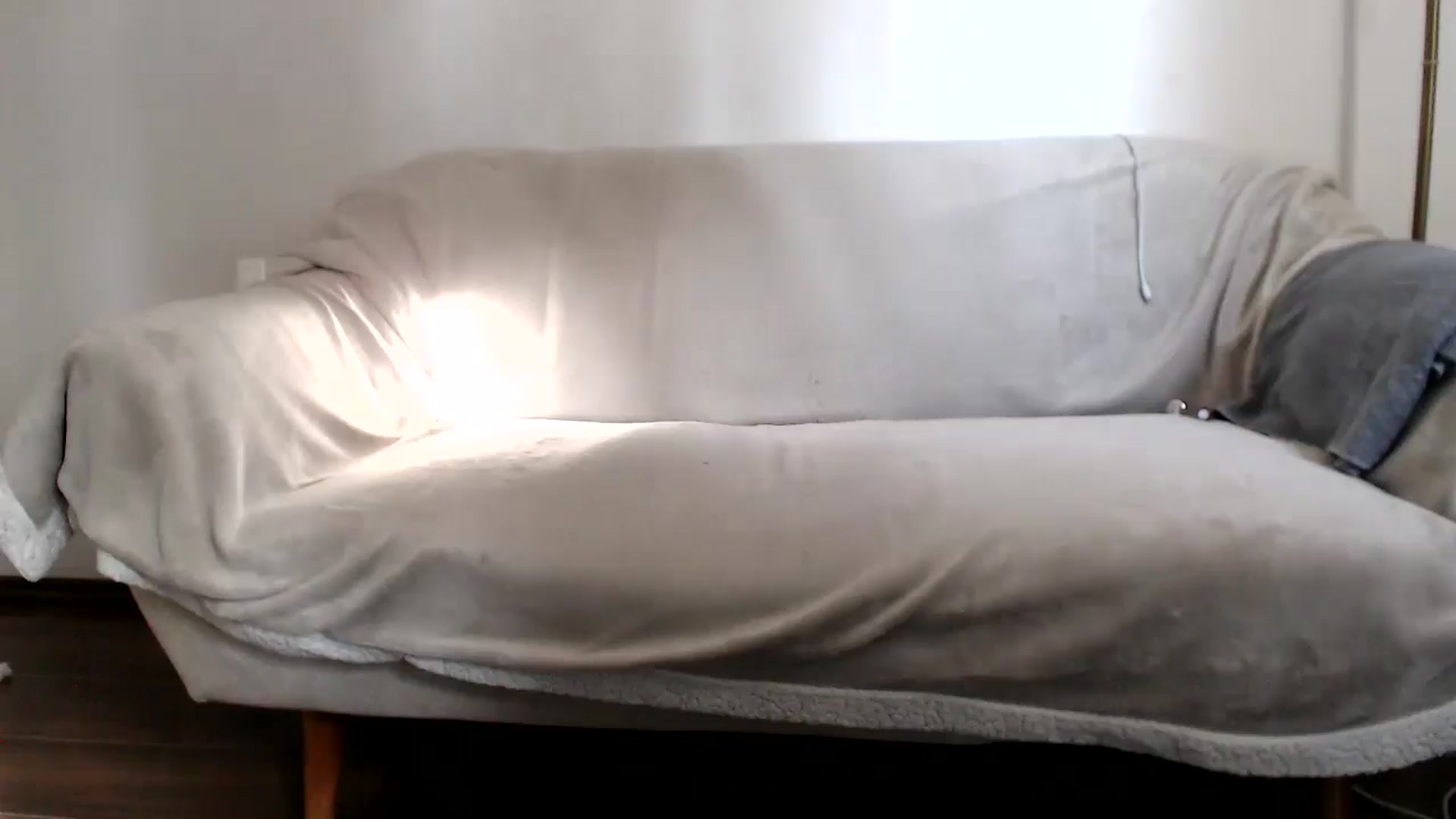 Gallery image thumbnail from BootyFallon's myfreecams stream on, 06/20/2024, 15:10 image 14 of 20