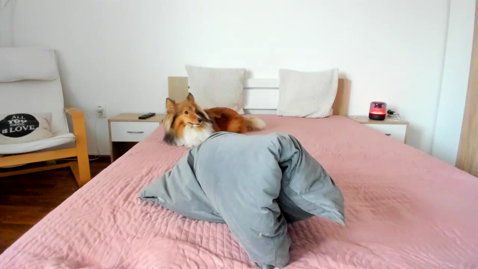 Gallery image thumbnail from BootyVendy's myfreecams stream on, 02/11/2024, 13:45 image 11 of 20