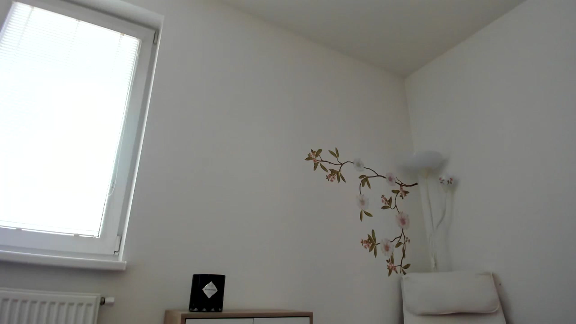 Gallery image thumbnail from BootyVendy's myfreecams stream on, 02/17/2024, 14:08 image 16 of 20