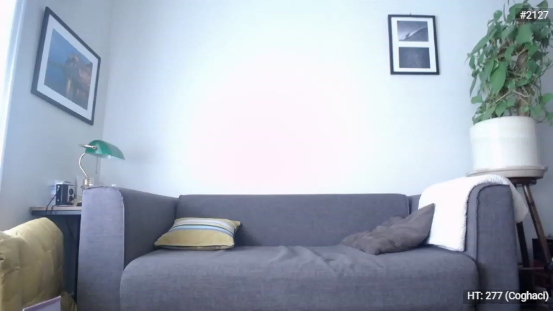 Gallery image thumbnail from Bootysaur's myfreecams stream on, 11/23/2022, 10:56 image 19 of 20