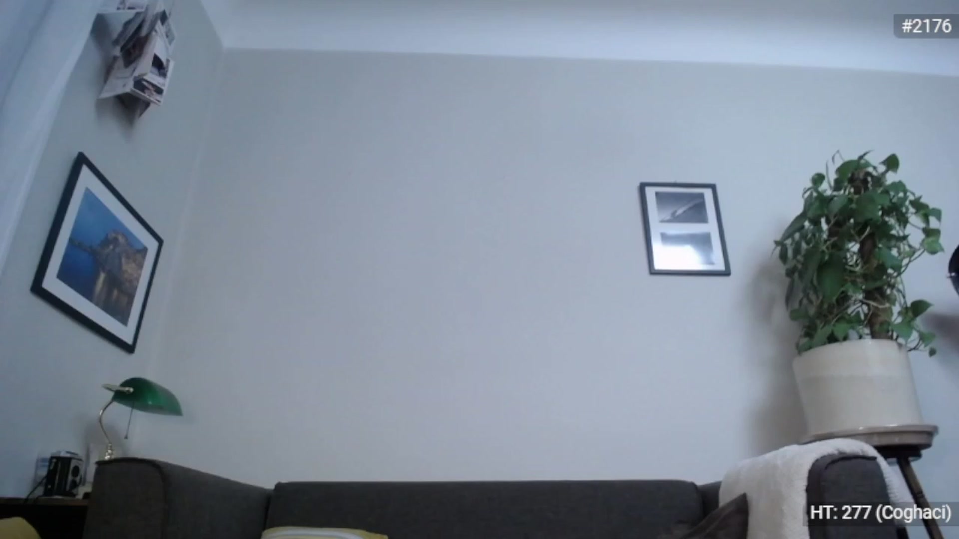 Gallery image thumbnail from Bootysaur's myfreecams stream on, 11/23/2022, 10:56 image 3 of 20