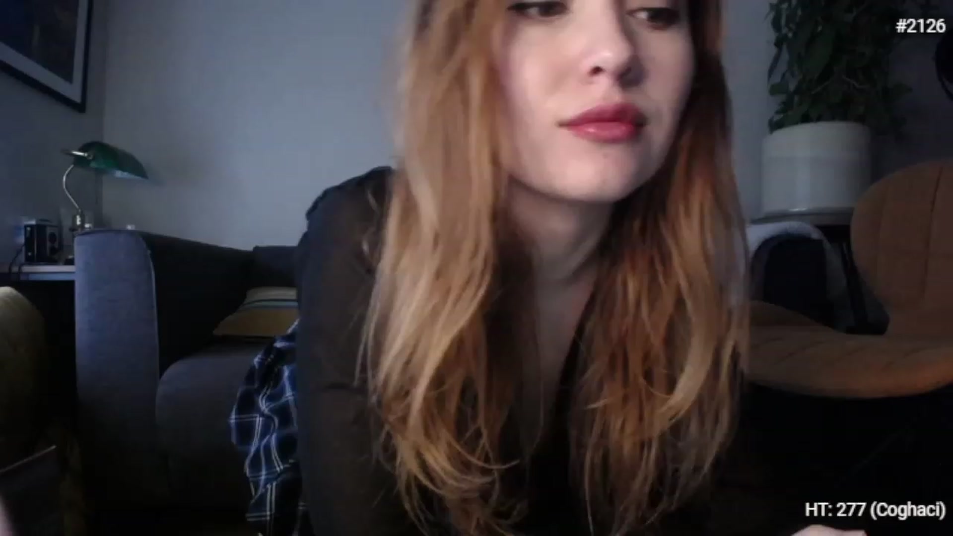 Gallery image thumbnail from Bootysaur's myfreecams stream on, 11/23/2022, 12:22 image 4 of 20