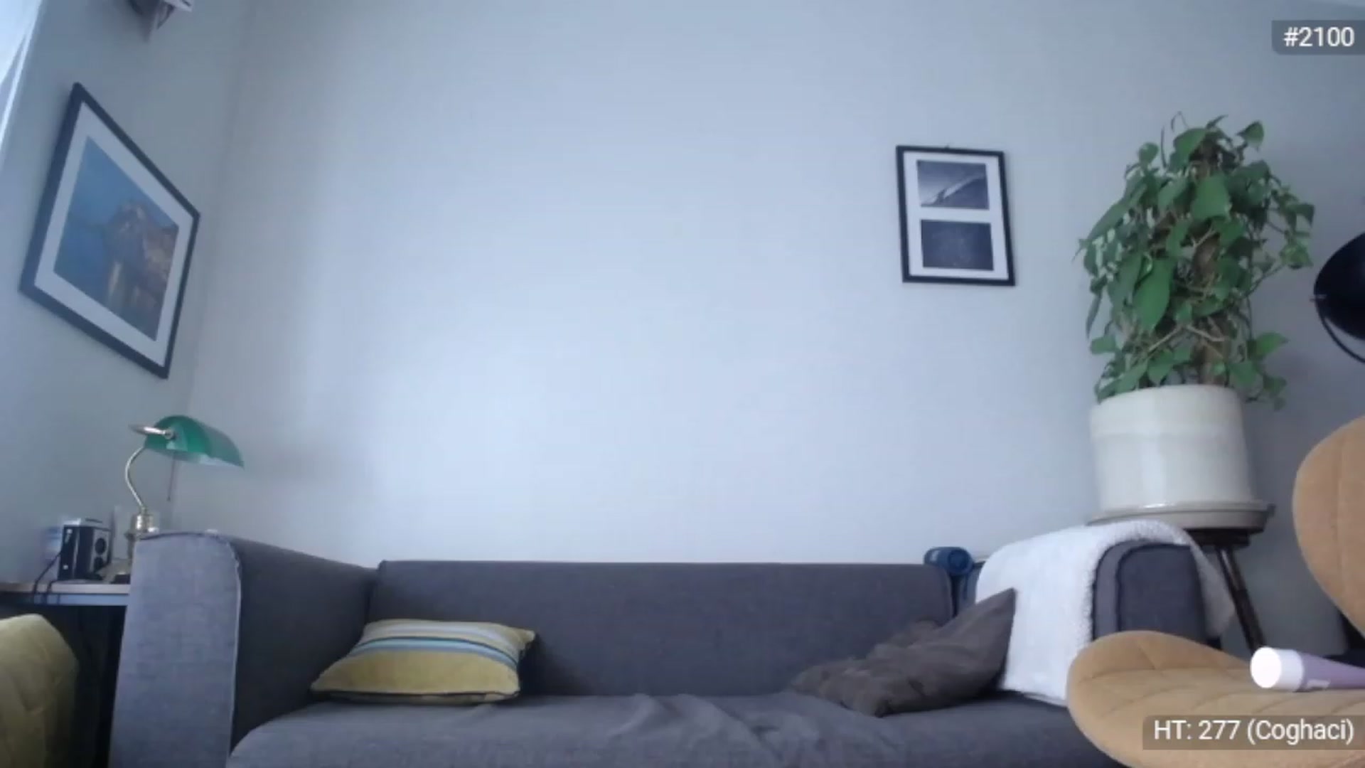 Gallery image thumbnail from Bootysaur's myfreecams stream on, 11/23/2022, 12:22 image 6 of 20