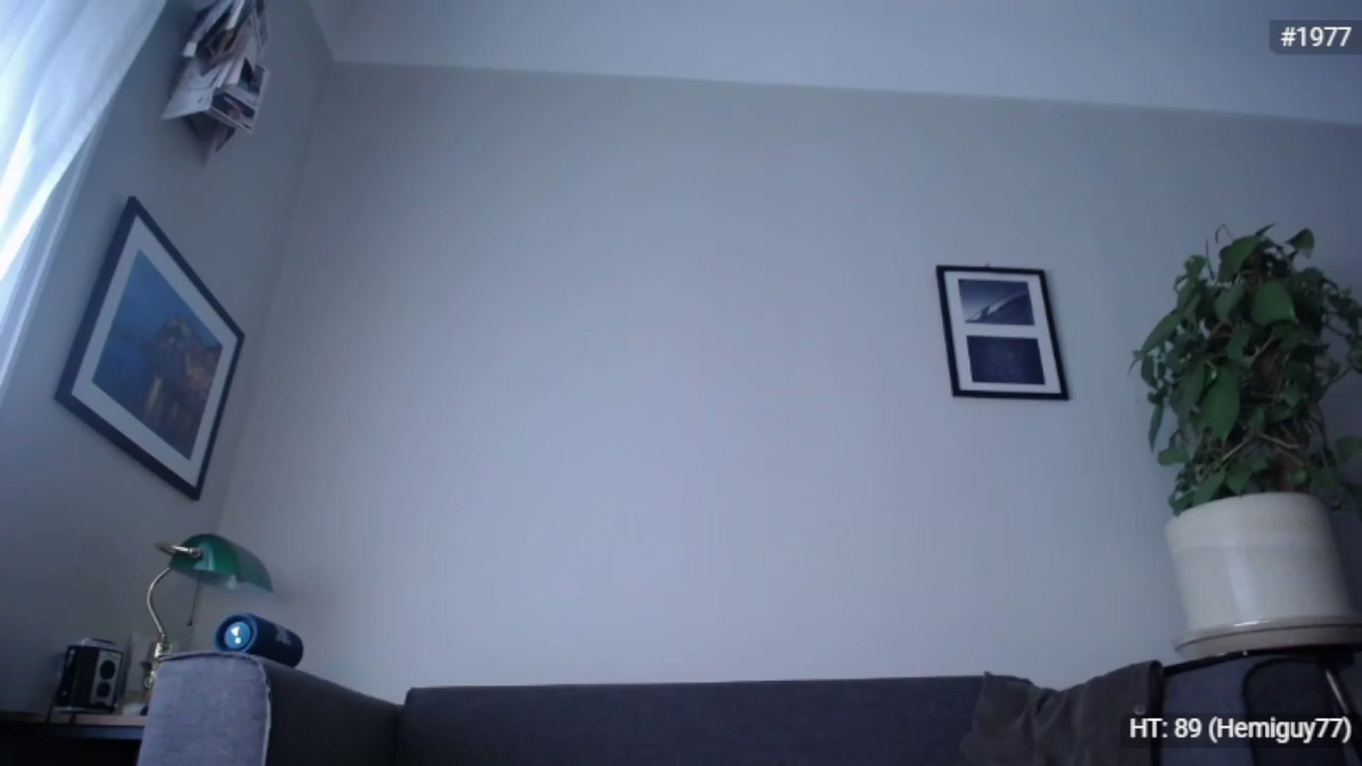 Gallery image thumbnail from Bootysaur's myfreecams stream on, 11/24/2022, 11:38 image 18 of 20