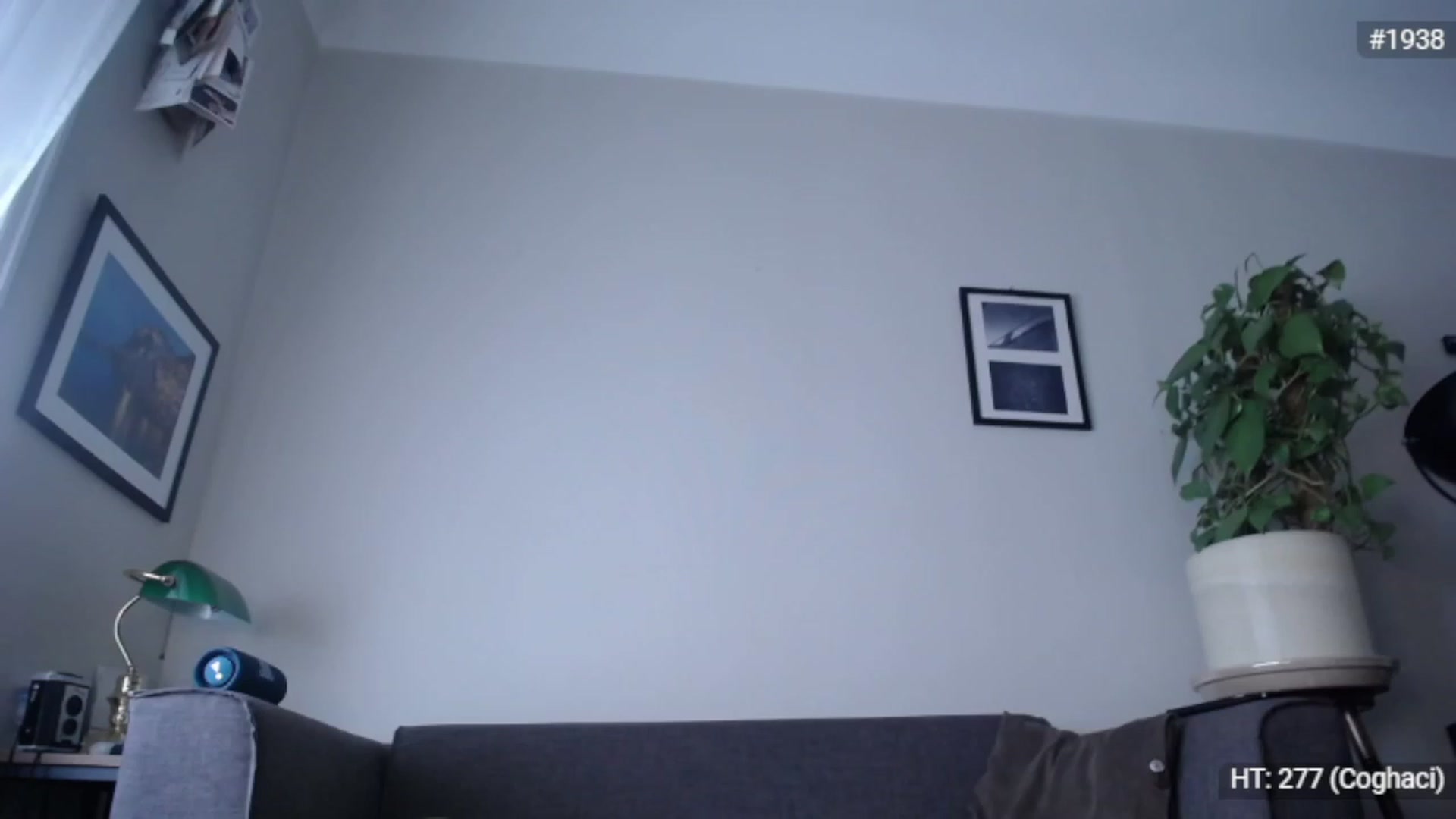 Gallery image thumbnail from Bootysaur's myfreecams stream on, 11/24/2022, 12:26 image 18 of 20