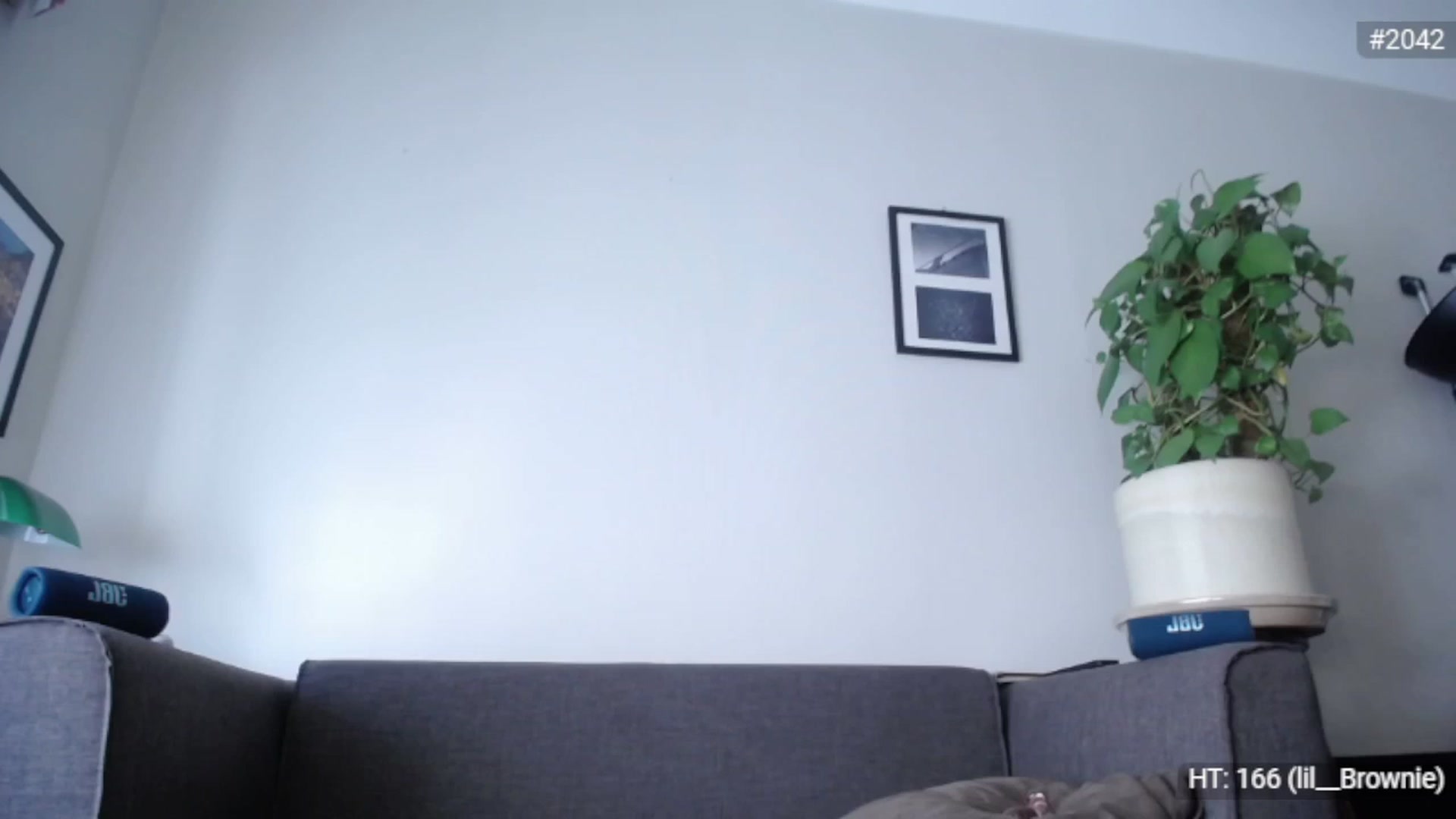 Gallery image thumbnail from Bootysaur's myfreecams stream on, 11/28/2022, 11:00 image 18 of 20