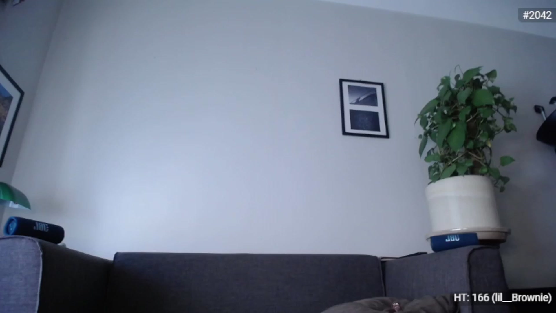 Gallery image thumbnail from Bootysaur's myfreecams stream on, 11/28/2022, 11:00 image 19 of 20