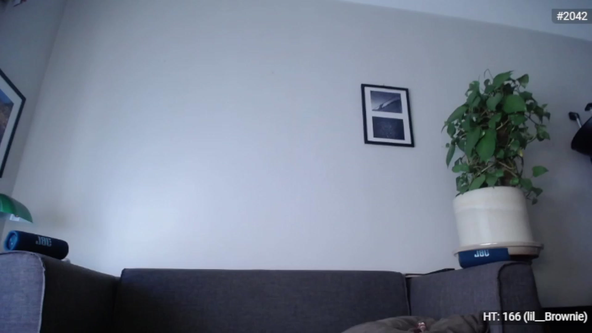 Gallery image thumbnail from Bootysaur's myfreecams stream on, 11/28/2022, 11:00 image 20 of 20