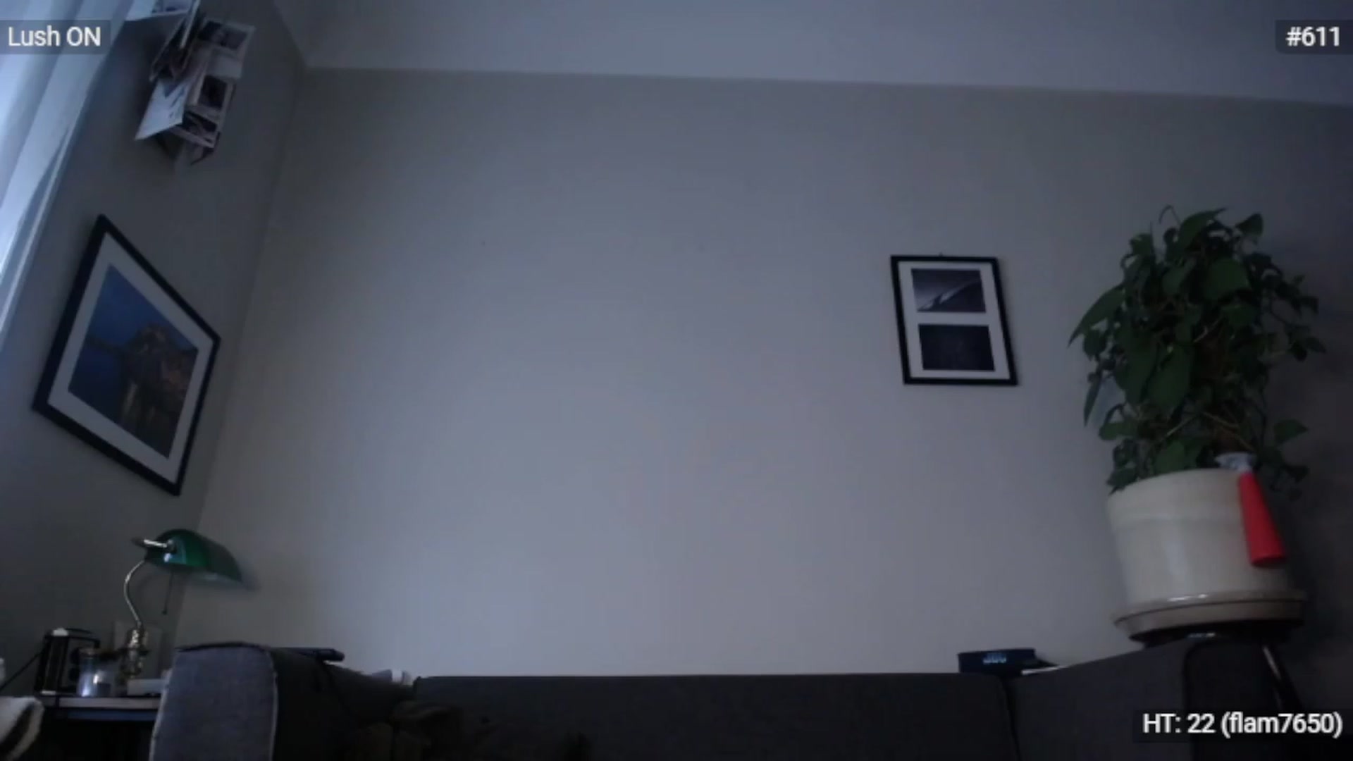 Gallery image thumbnail from Bootysaur's myfreecams stream on, 12/02/2022, 11:52 image 4 of 20