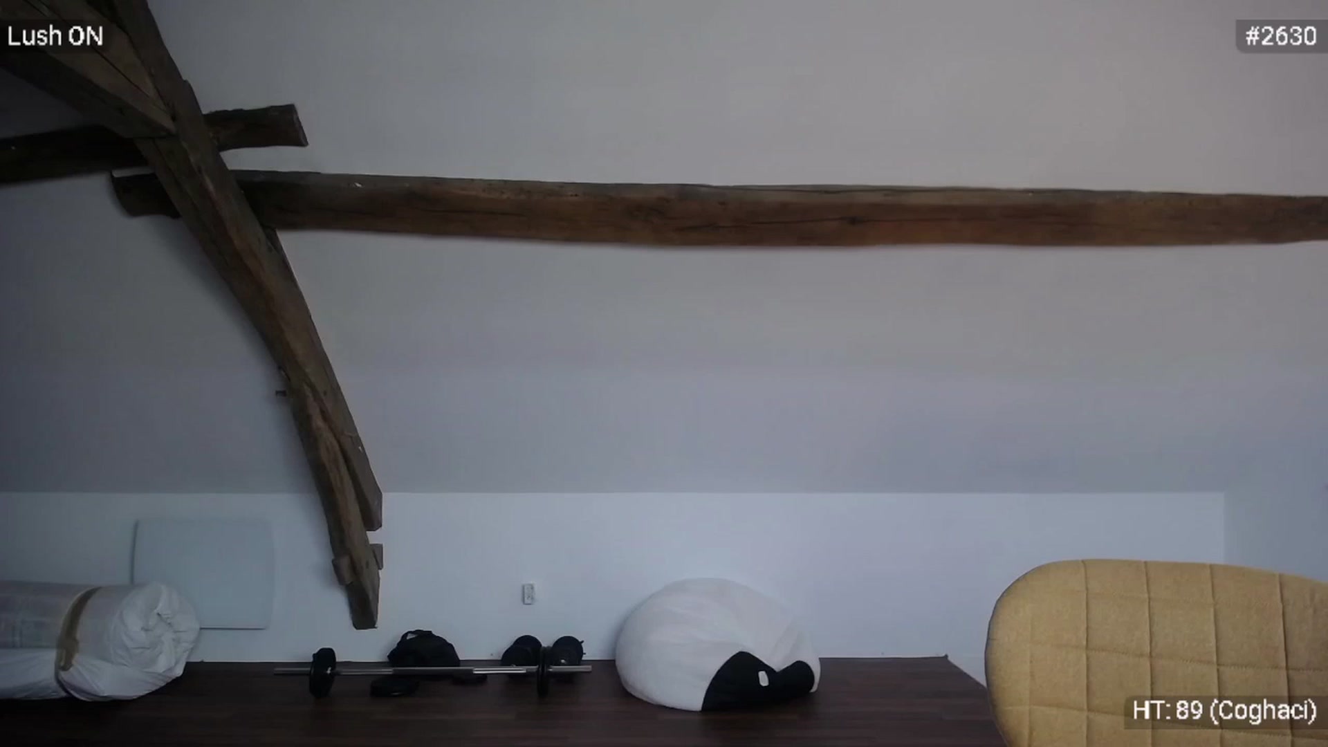 Gallery image thumbnail from Bootysaur's myfreecams stream on, 09/20/2023, 11:05 image 8 of 20